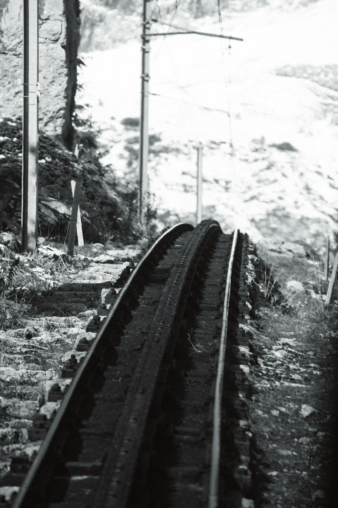 black metal train rail surrounded by trees during daytime