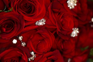 silver diamond ring on red rose