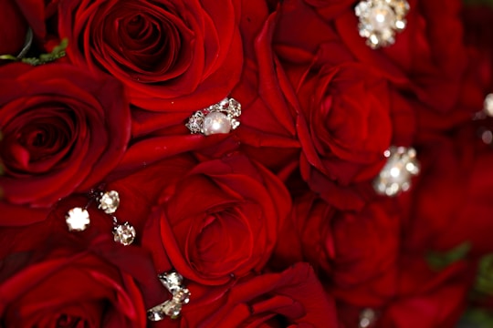 silver diamond ring on red rose