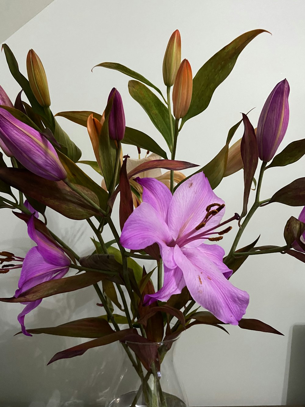 purple and white flower on white table