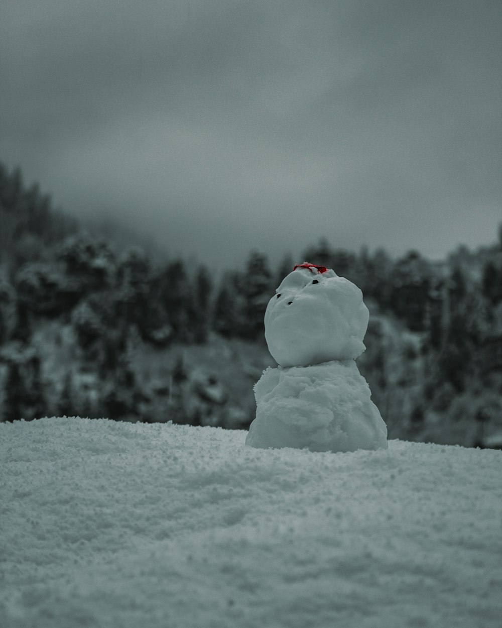Schneemann tagsüber auf schneebedecktem Boden