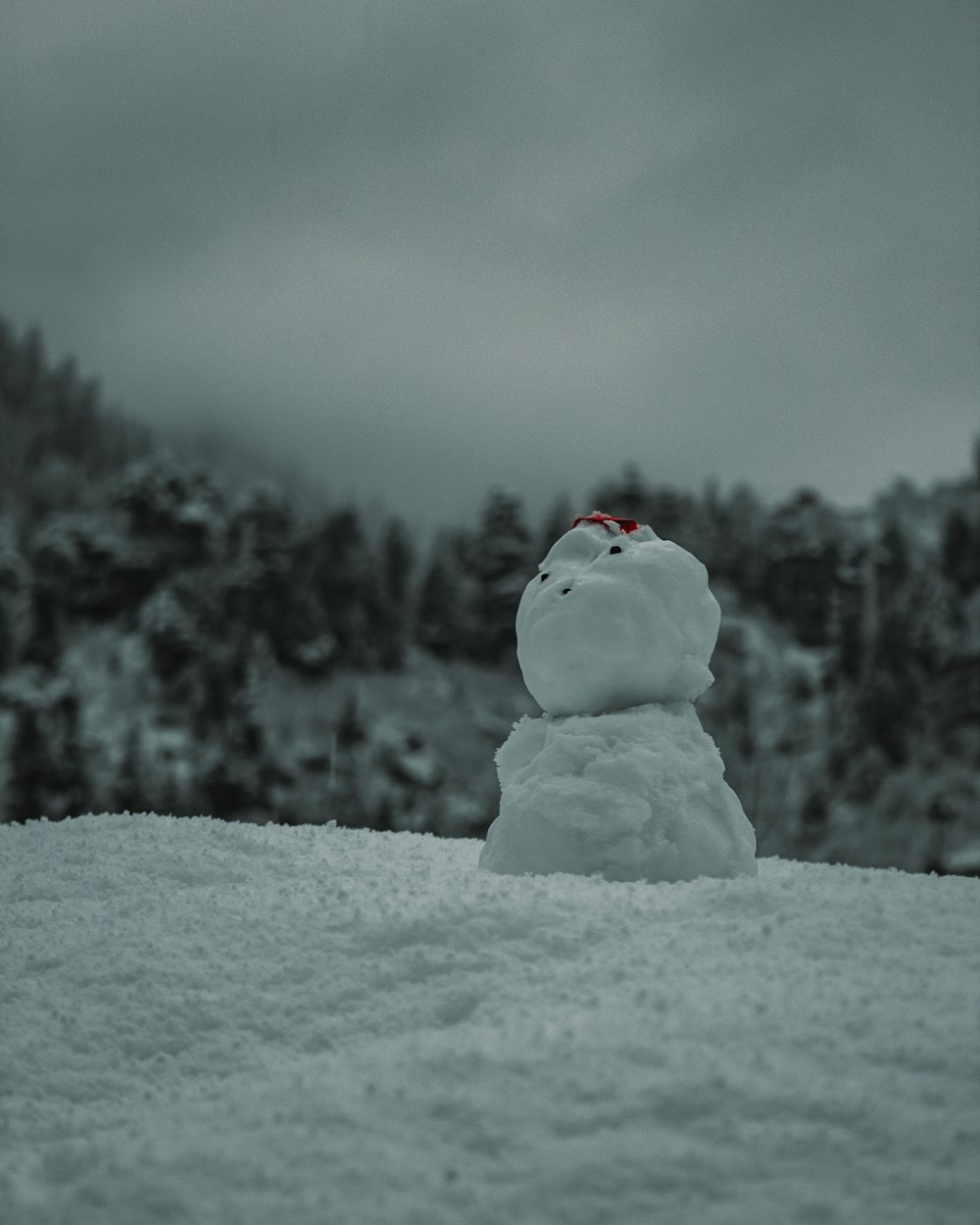 bonhomme de neige sur un sol enneigé pendant la journée