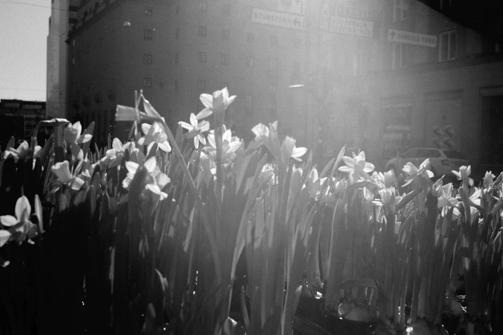 greyscale photo of people in the street