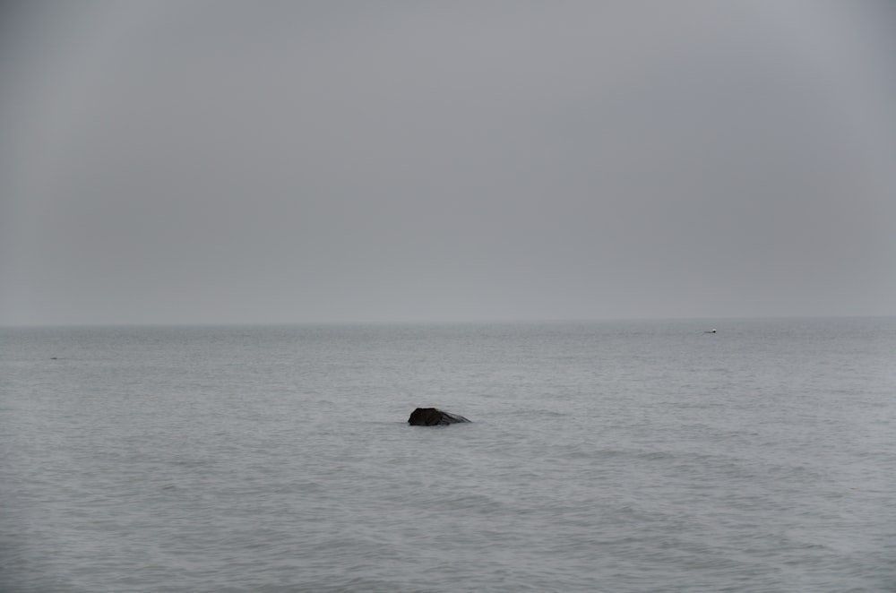 Schwarzer Felsen mitten im Meer