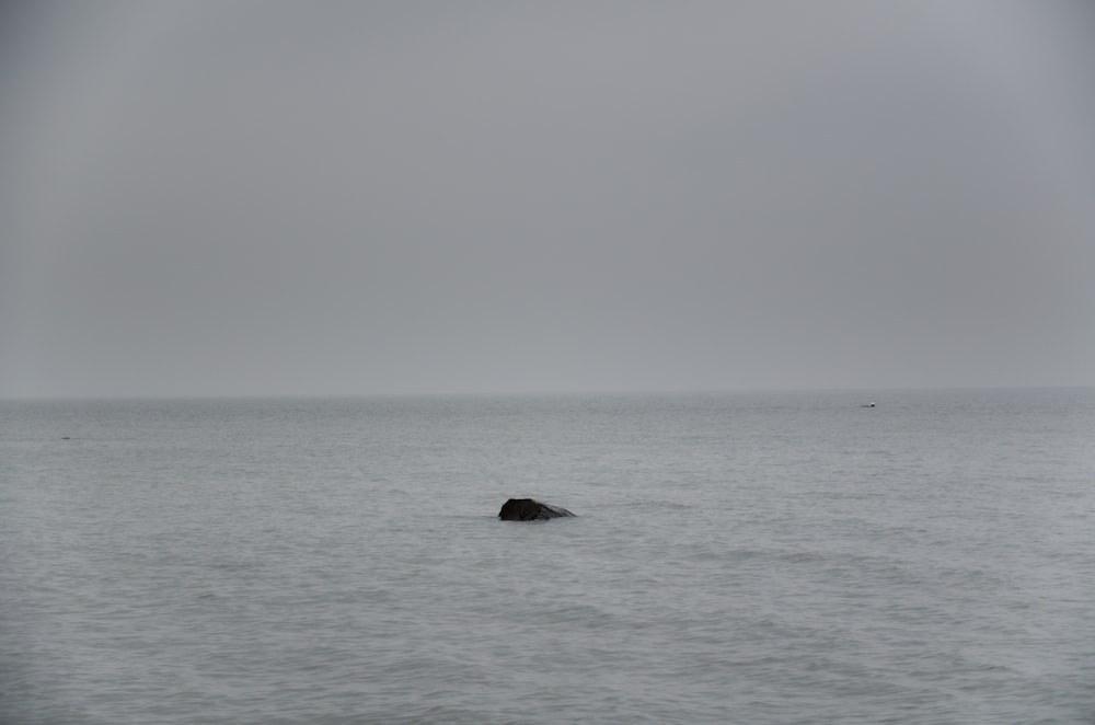 Roca negra en medio del mar