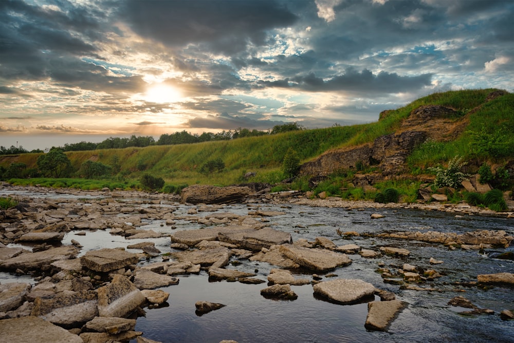 green grass and brown rocks on river