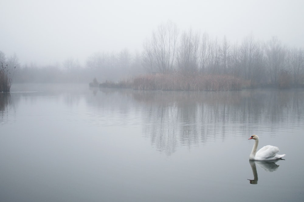 person in red jacket and black pants standing on lake side during daytime