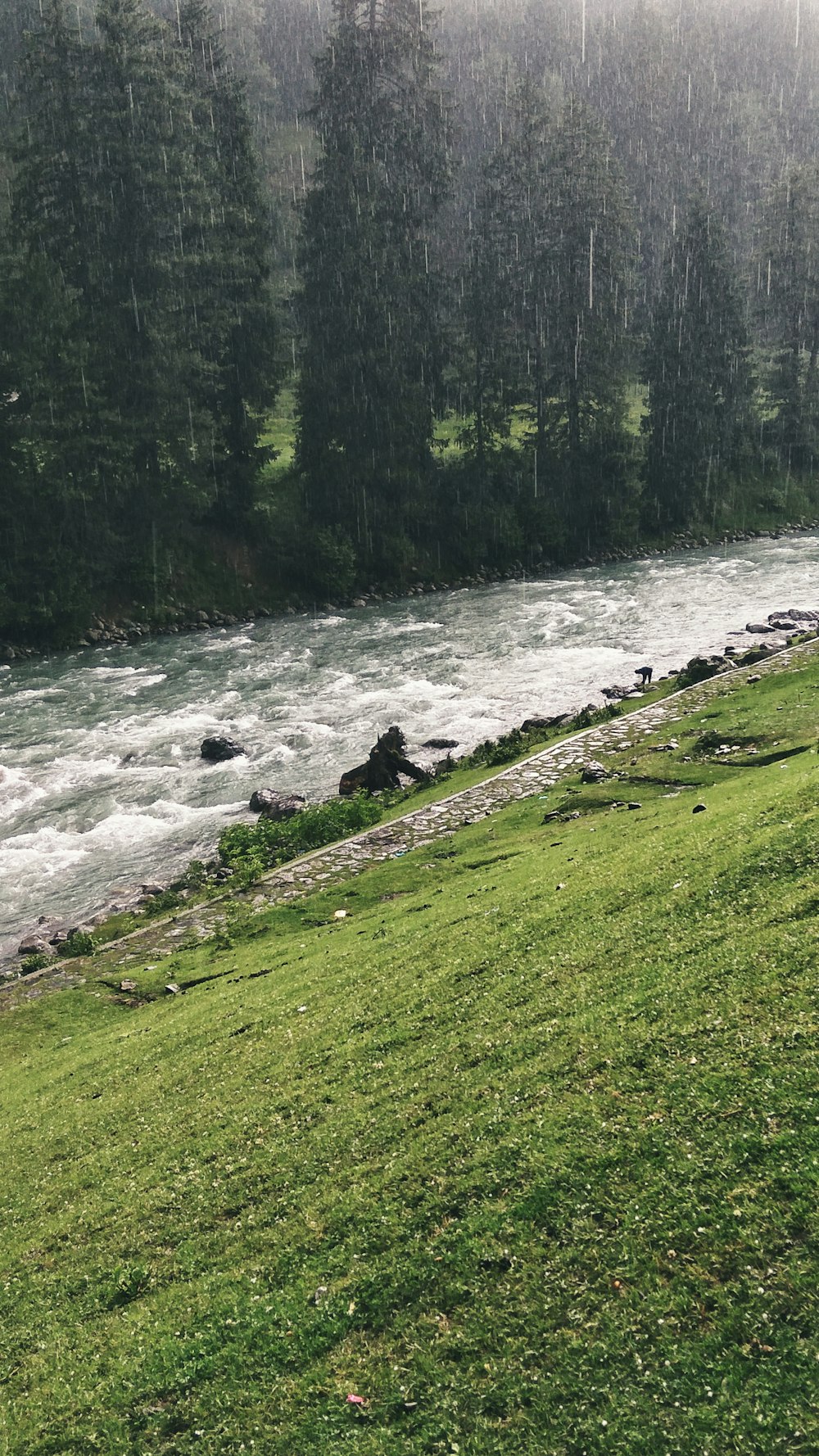 Persona sentada en un campo de hierba verde cerca del río durante el día