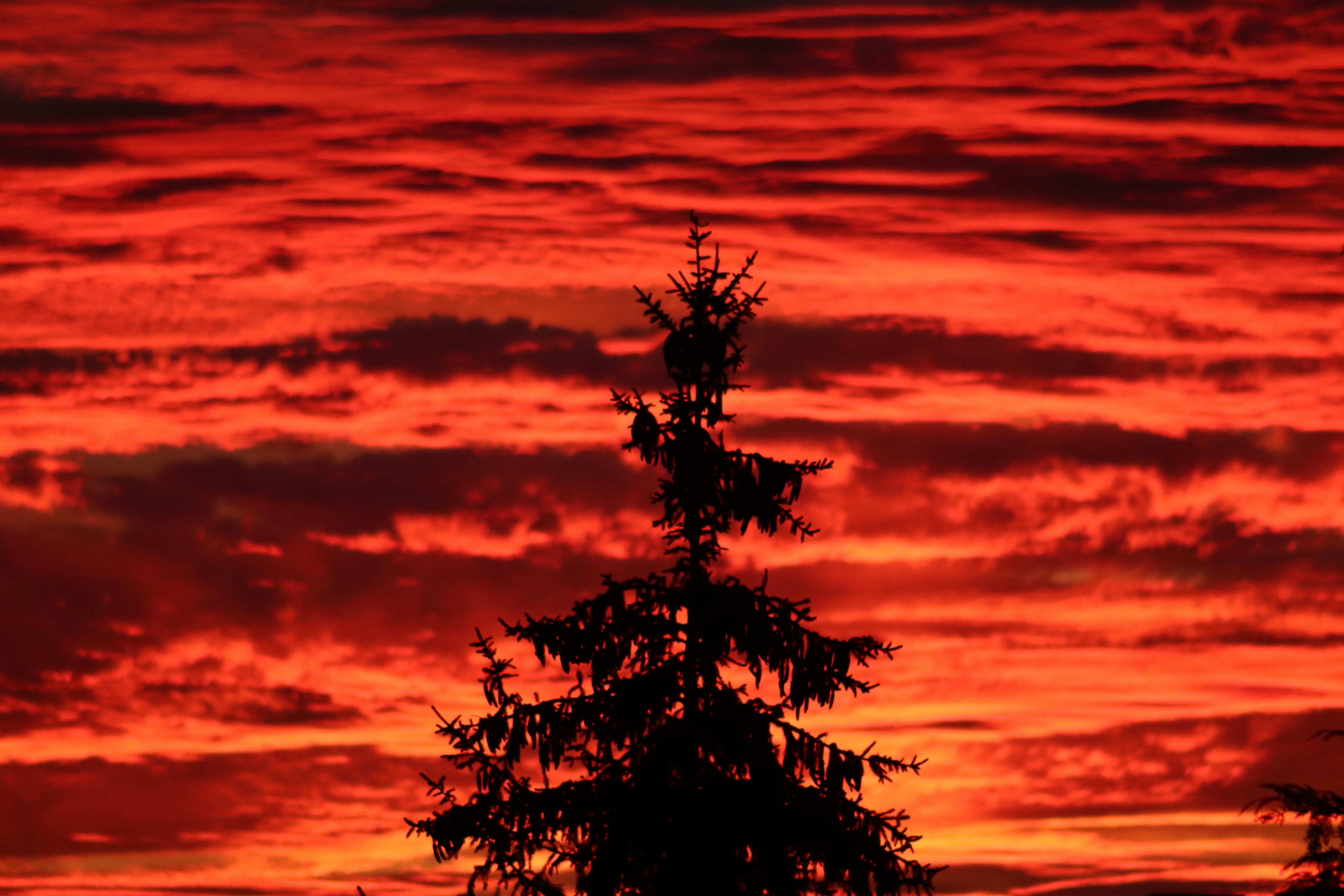 Containers in Lucerne, CO