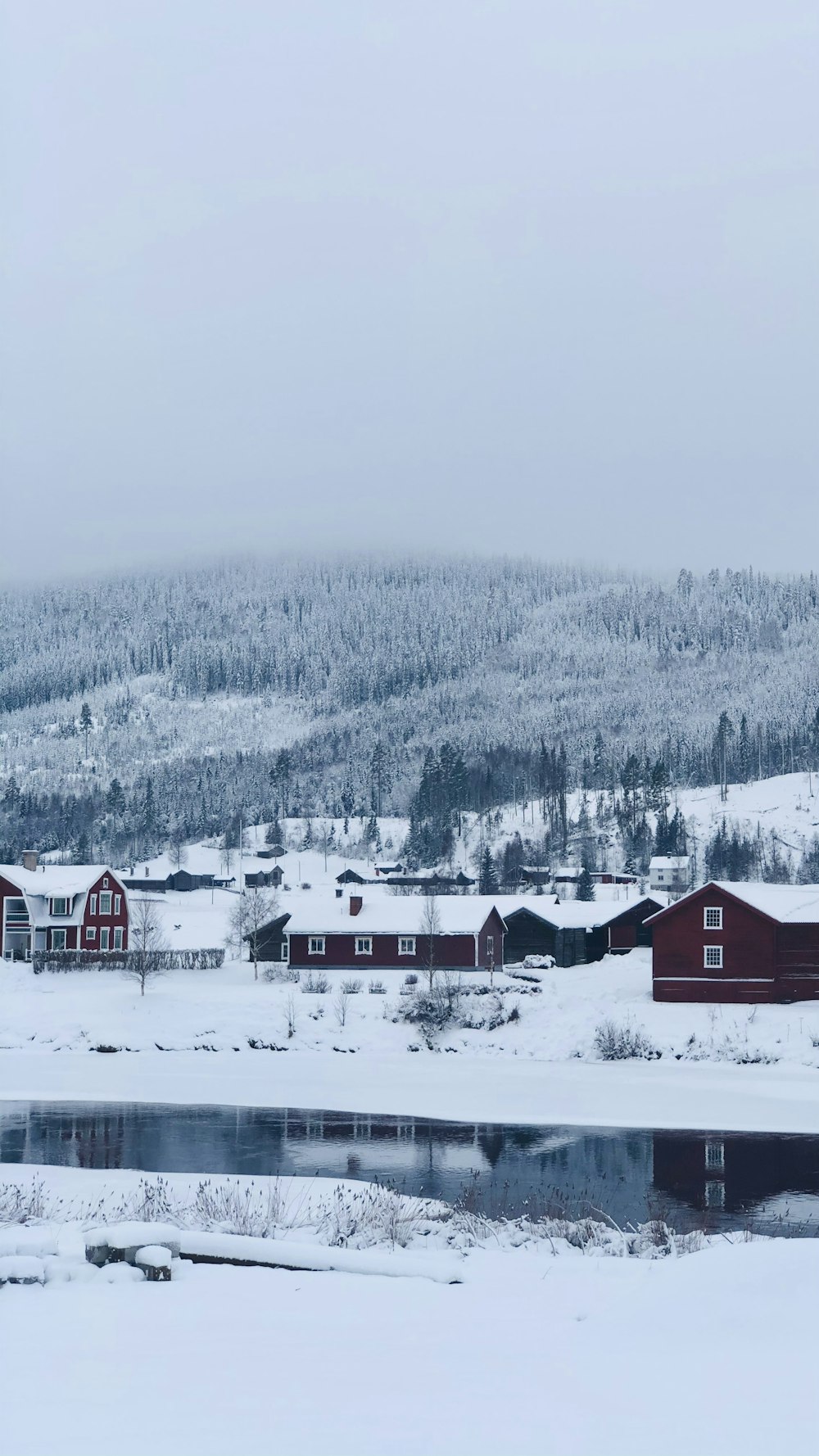 雪に覆われた地面に赤と白の家