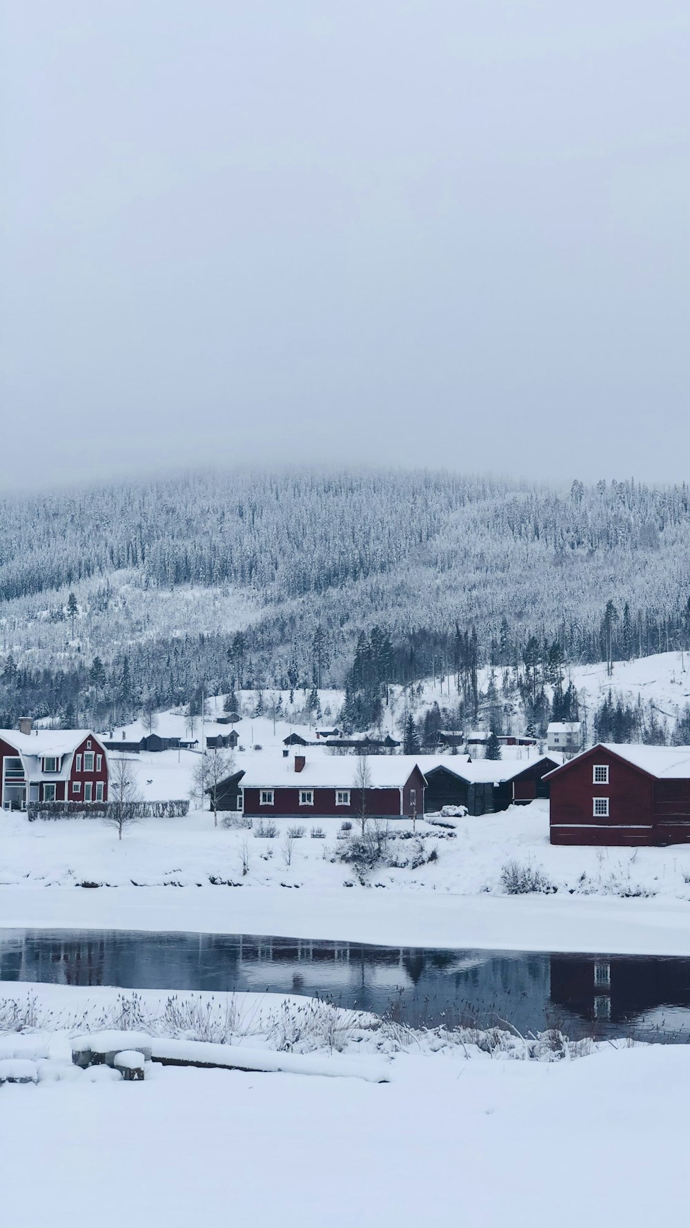 Casa rossa e bianca su terreno innevato