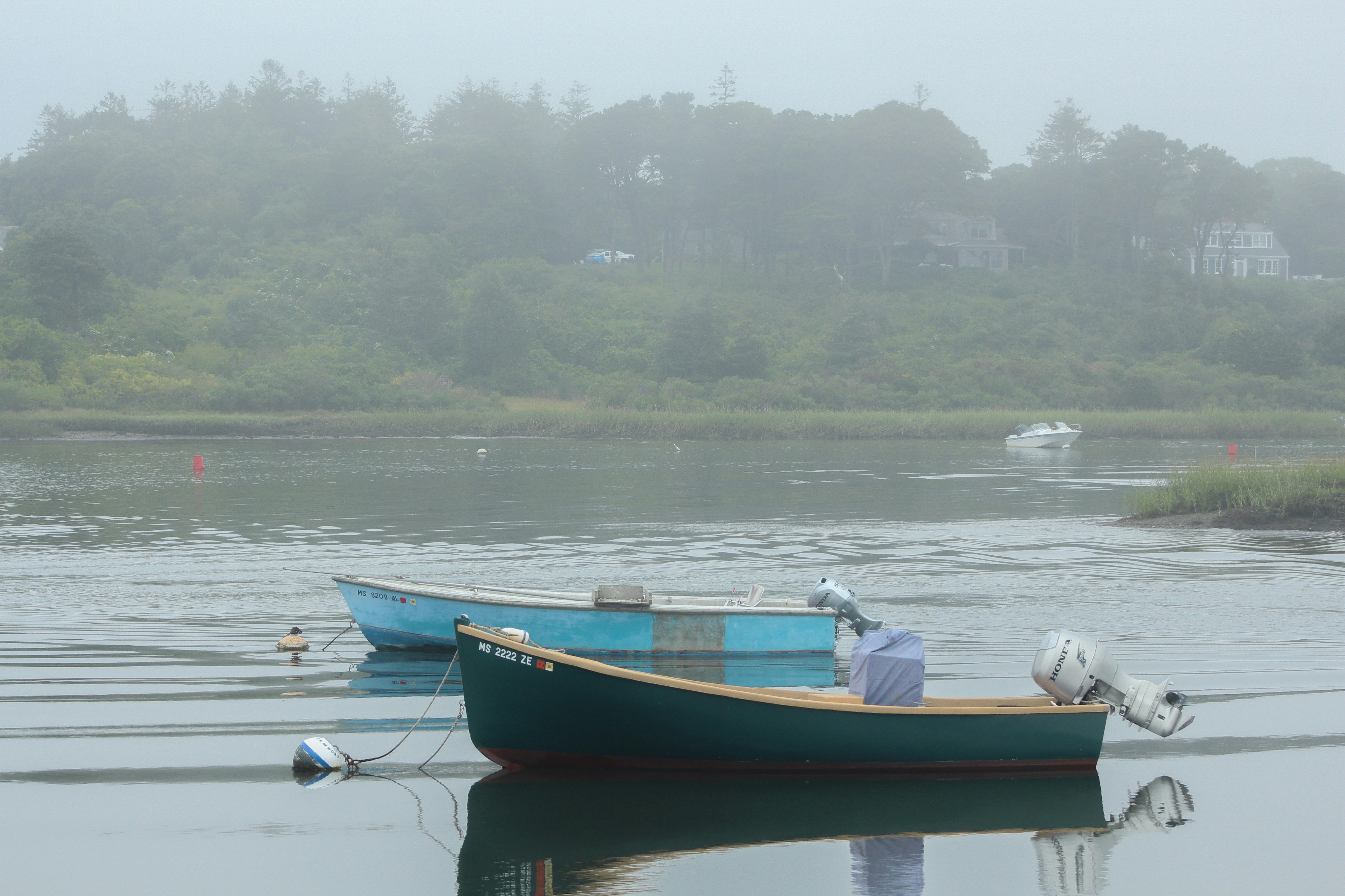 man in white shirt riding on blue and red boat during daytime