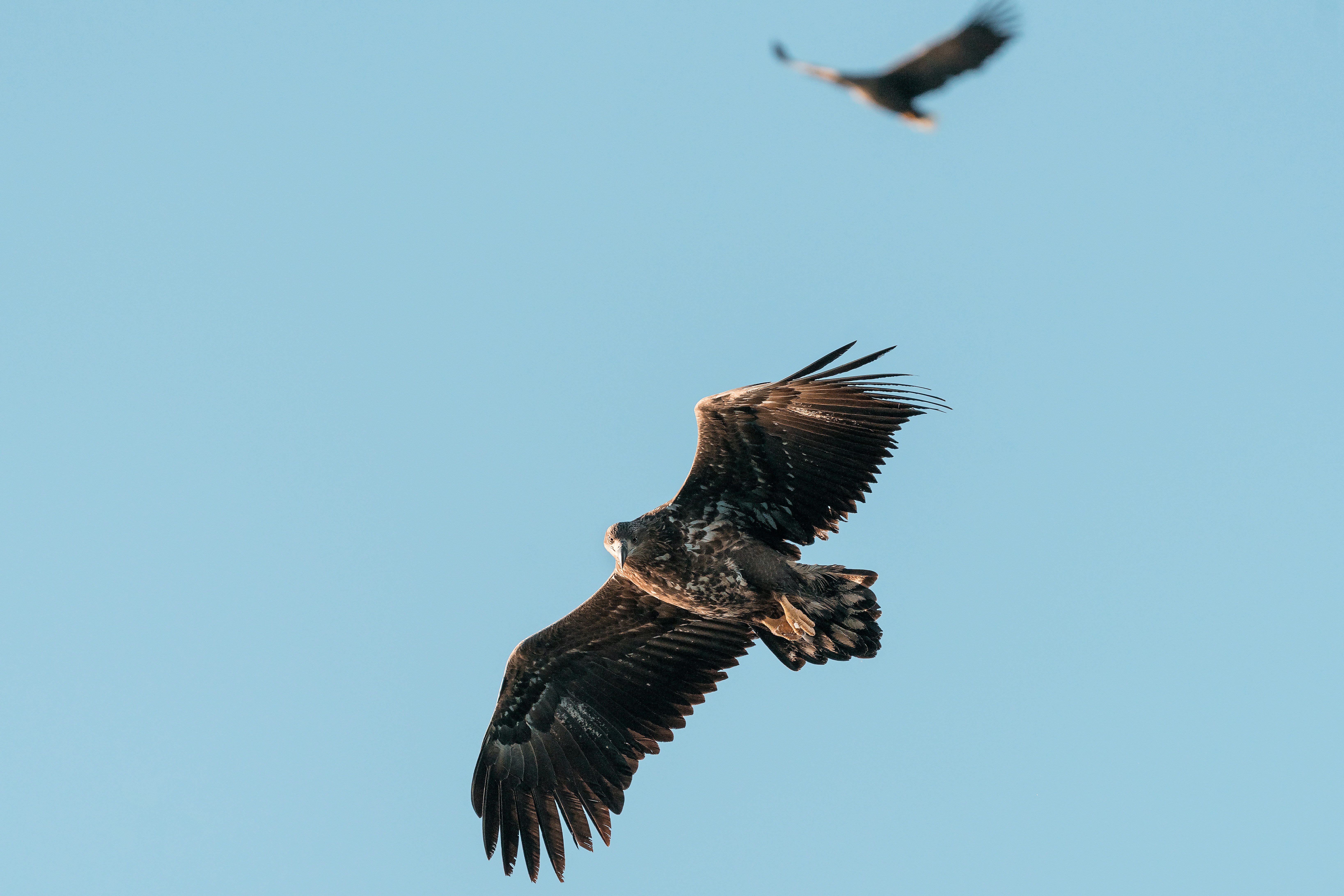 Photo by didiofederico_photographer