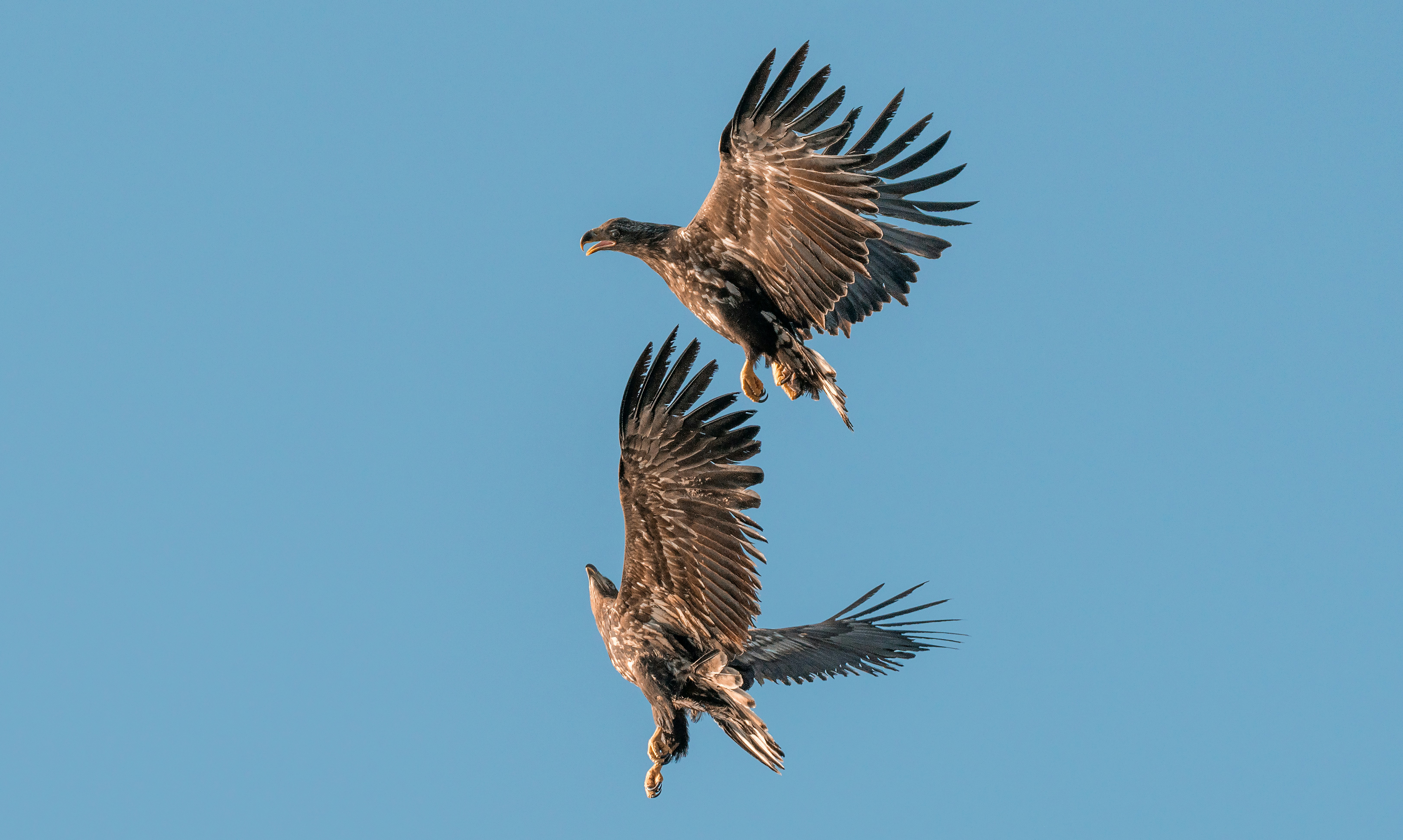 Photo by didiofederico_photographer