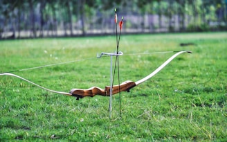 A wooden recurve bow is placed on a grassy field with three arrows standing upright. The background shows a blurred view of trees and greenery.