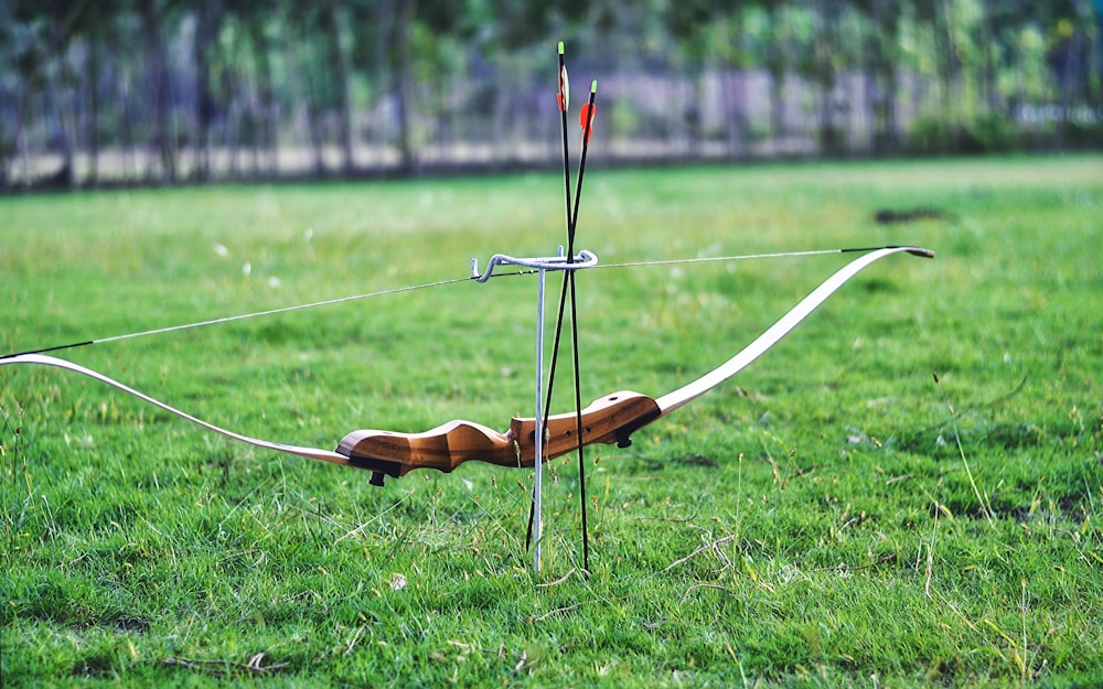 pajarita marrón y blanca en campo de hierba verde