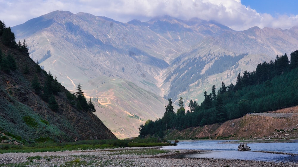 green trees near lake and mountains during daytime