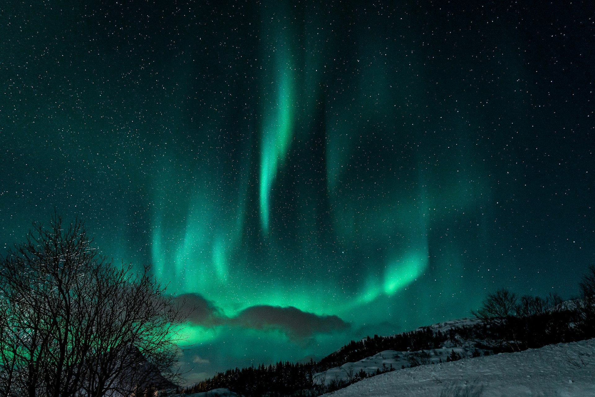 green aurora lights during night time