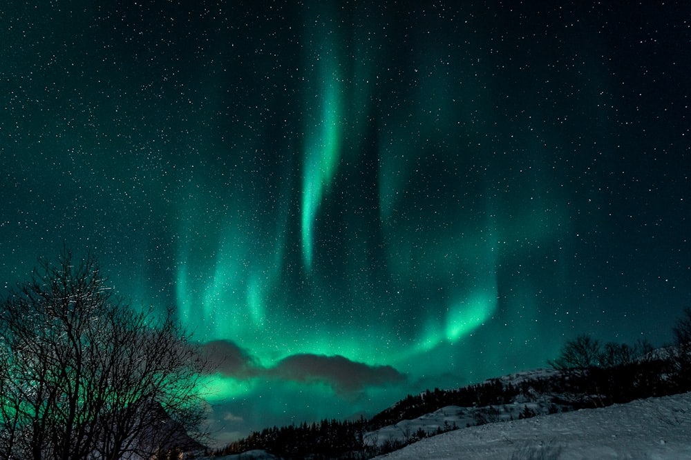 Lumières vertes des aurores boréales pendant la nuit