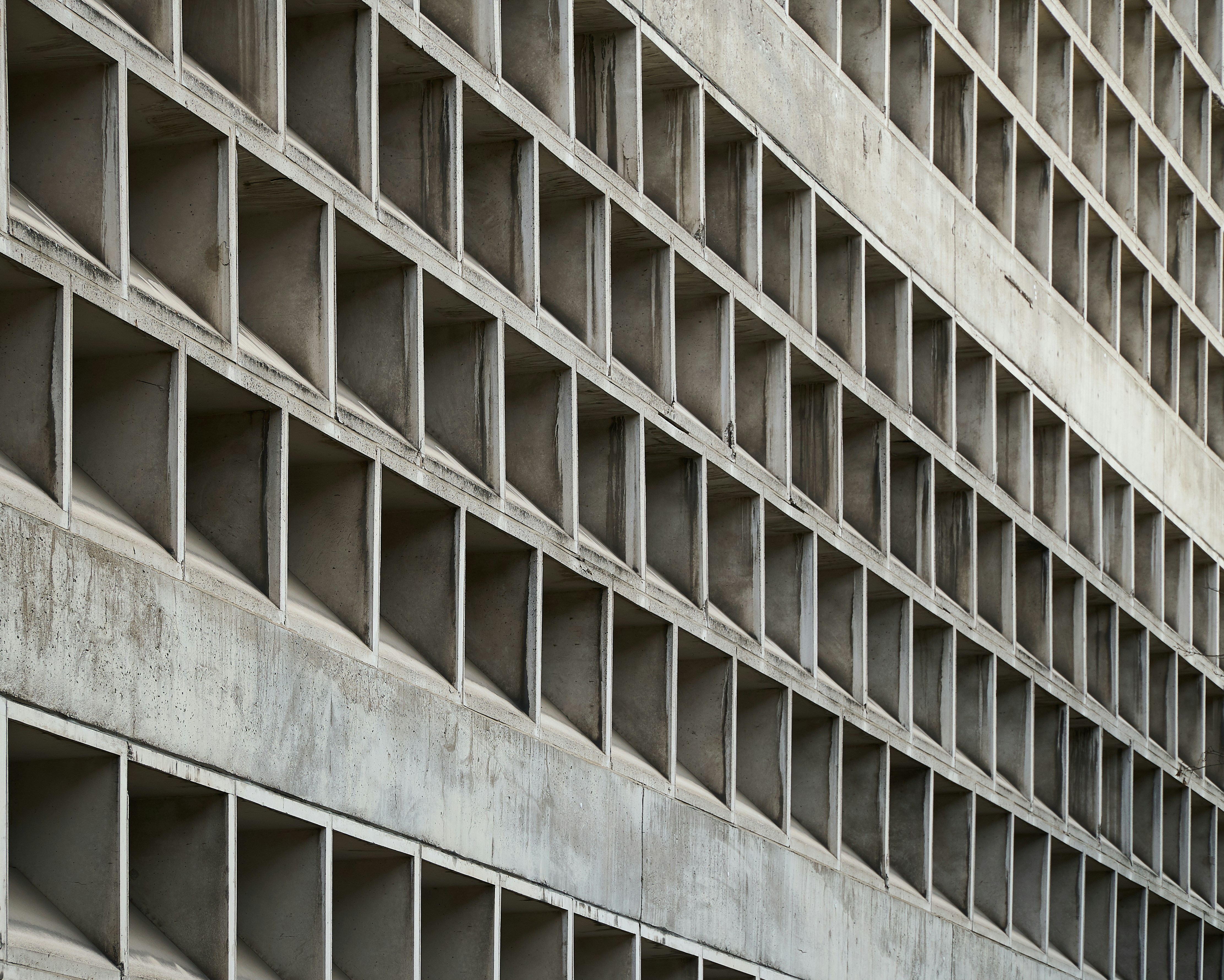 Photo by zhengyaosheng