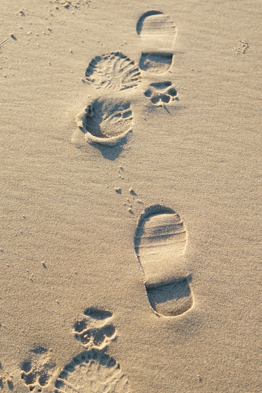 sable blanc avec du sable en forme de cœur