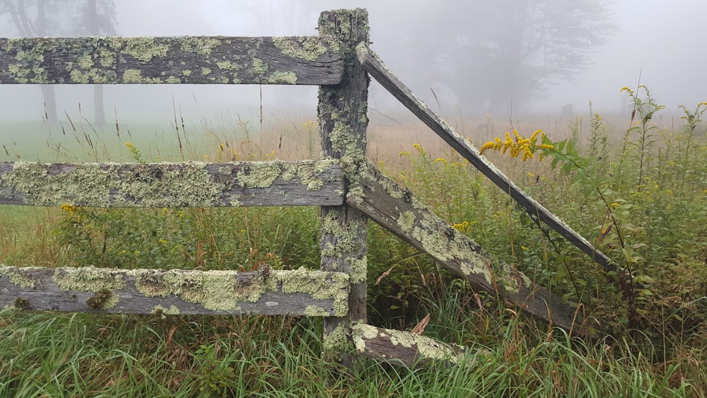 gray wooden fence on green grass field