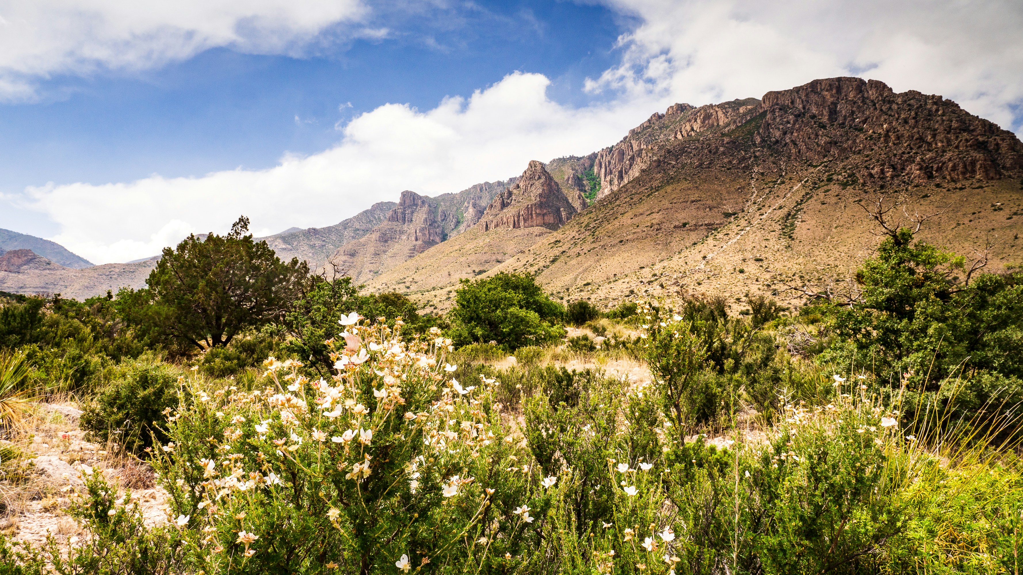 Guadalupe Mountains National Park - 1-Day Highlights