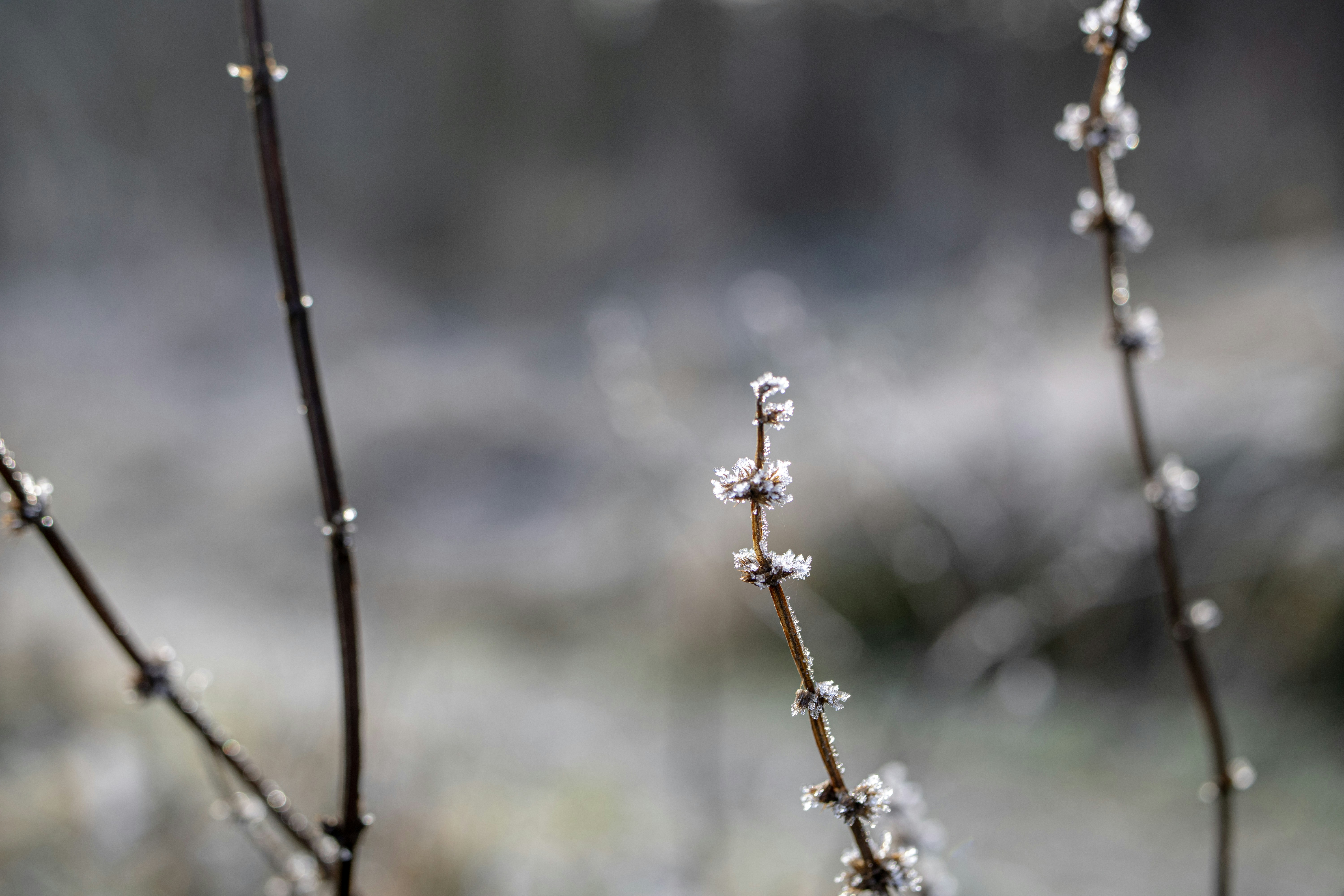 Photo by earthfulmoments