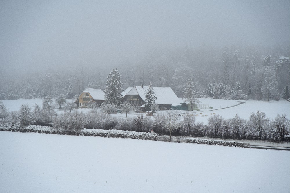 snow covered house and trees during daytime