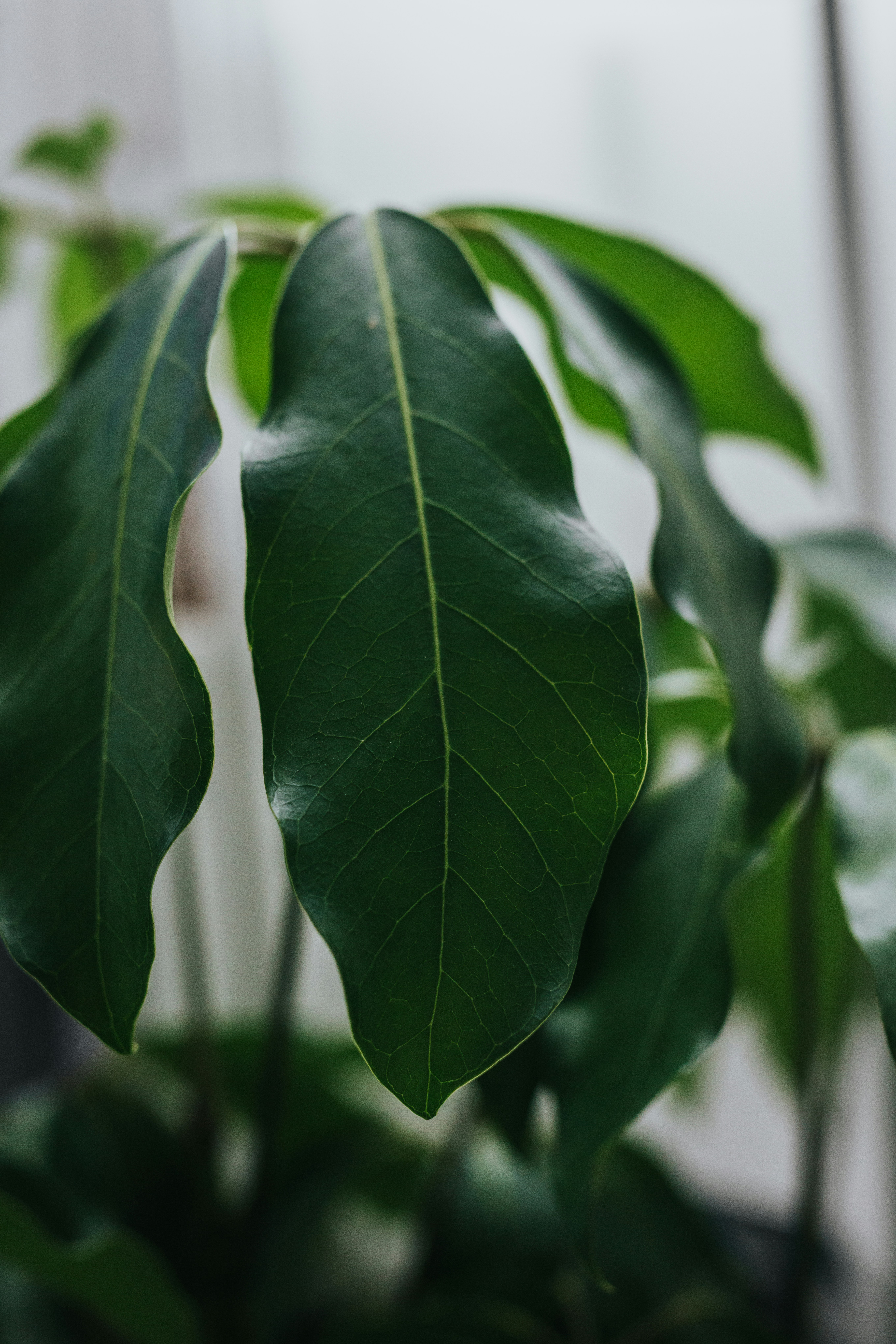 Photo by nate_dumlao