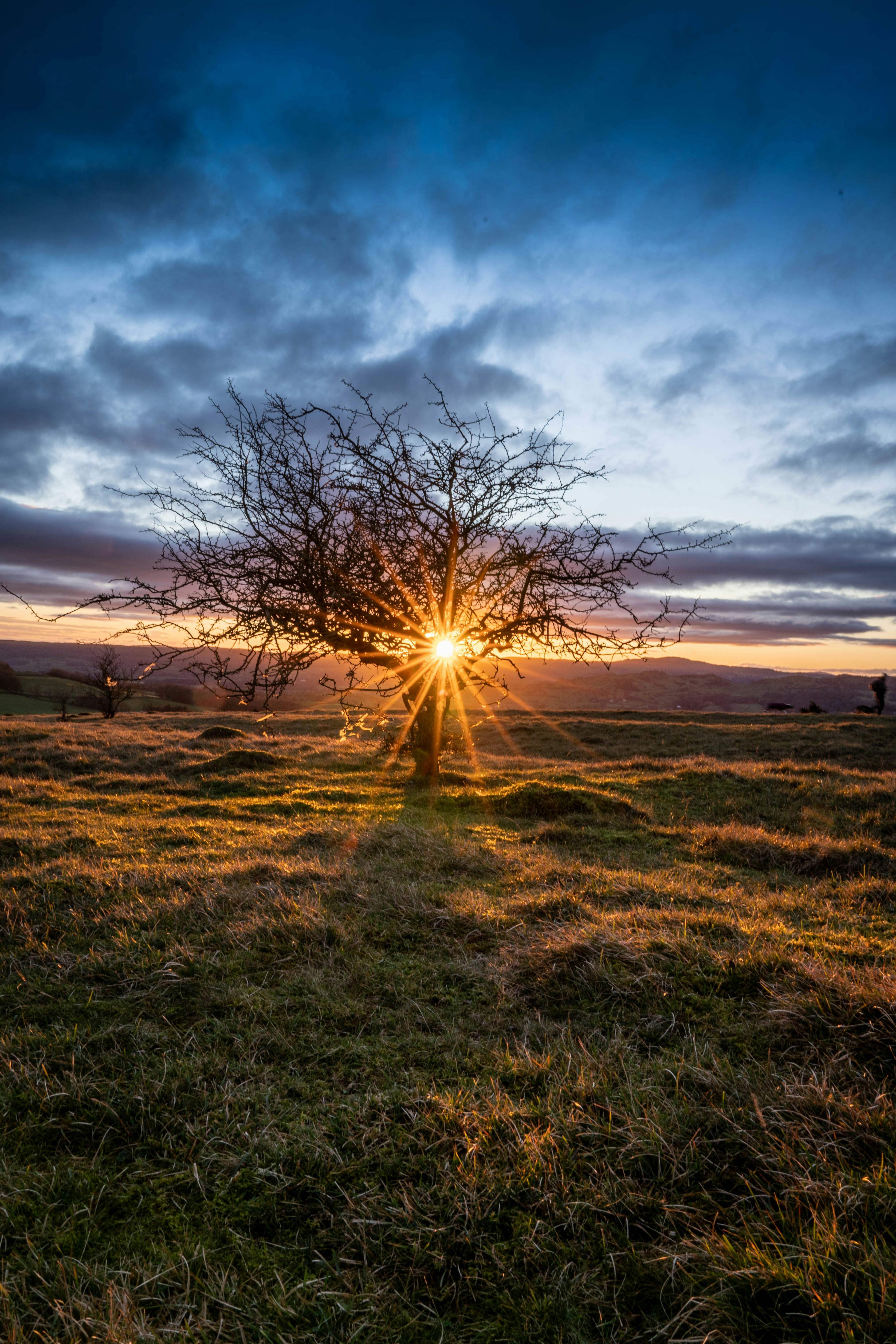 green grass field during daytime