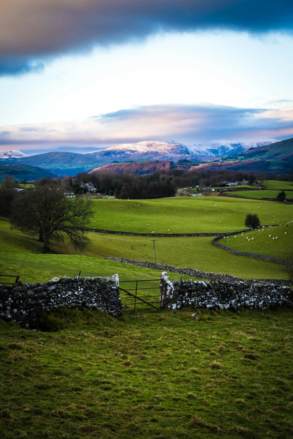 campo de grama verde com montanha à distância