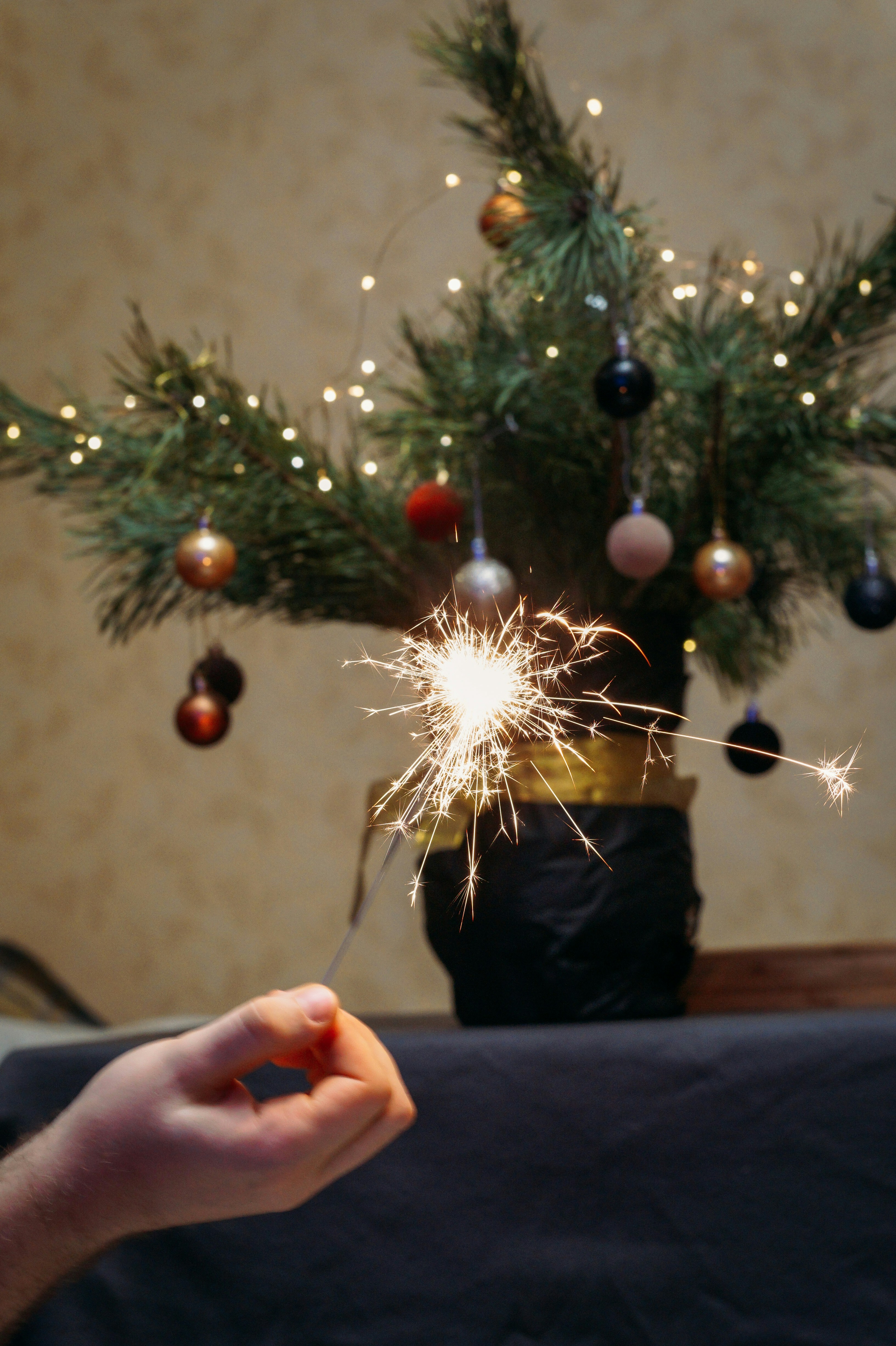 Festives | 12 best free festive, dessert, food and christmas tree ...
