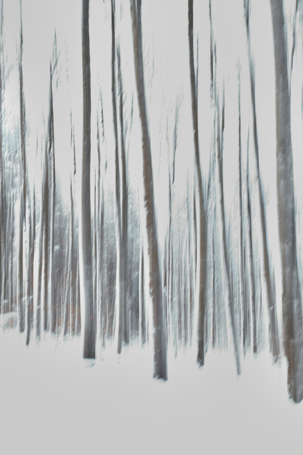 white and gray wooden sticks