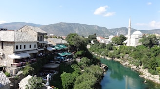 houses near river and trees during daytime