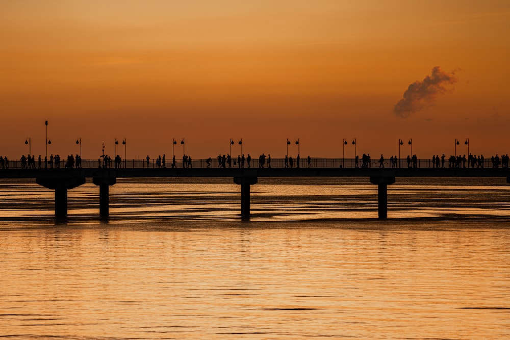 silhouette of people on dock during sunset