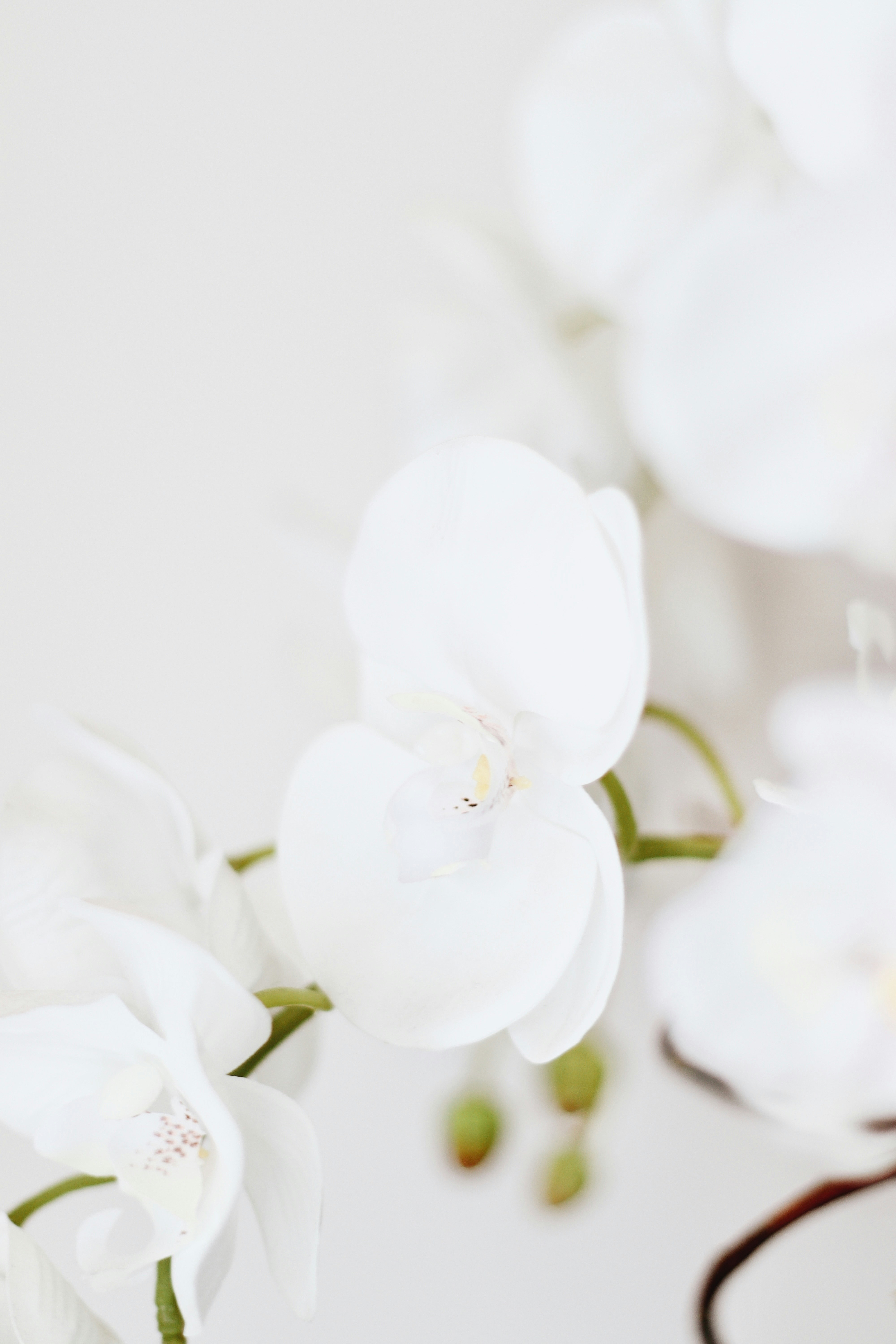 Photo by nathanareboucas