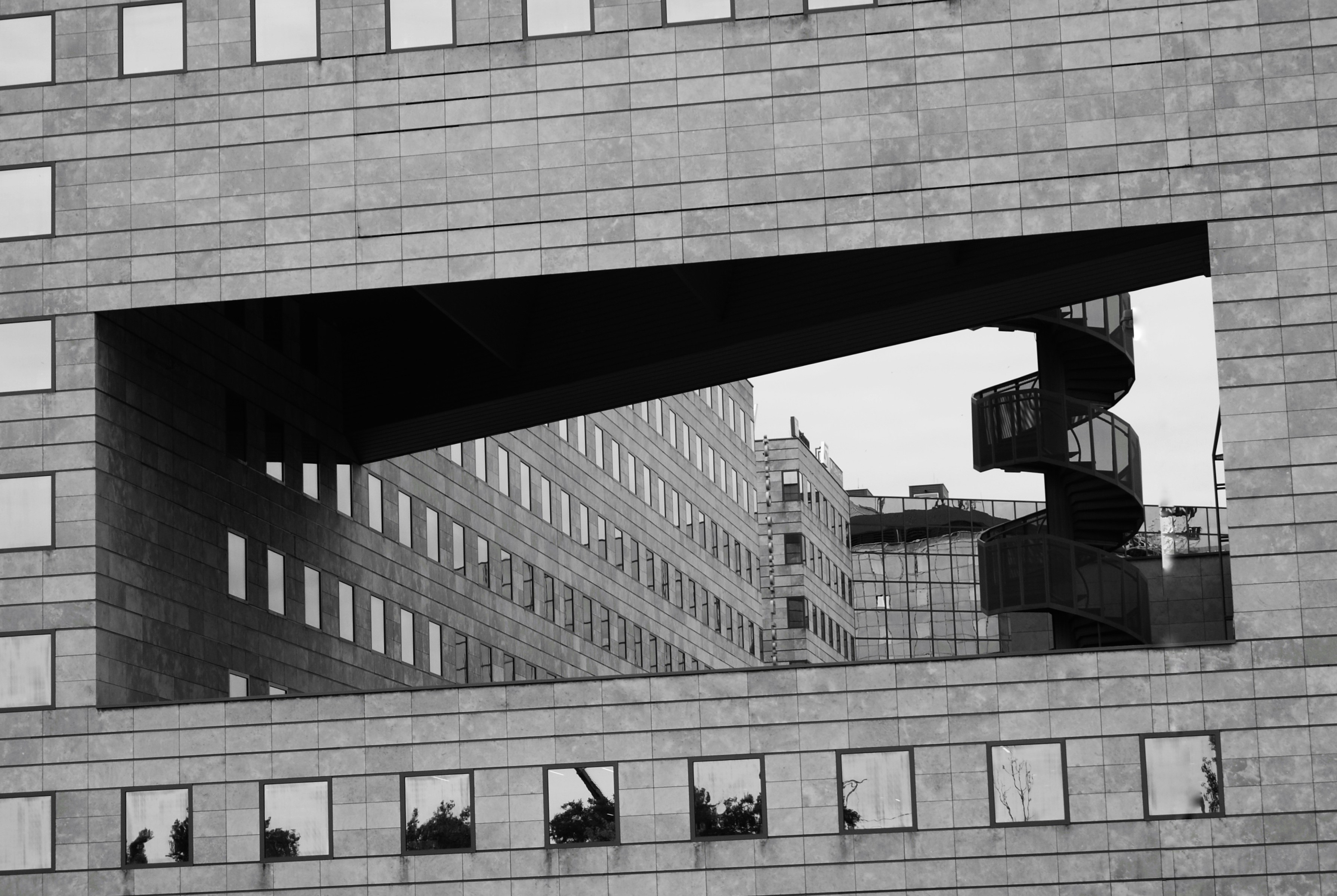 Photo by nikacorradi