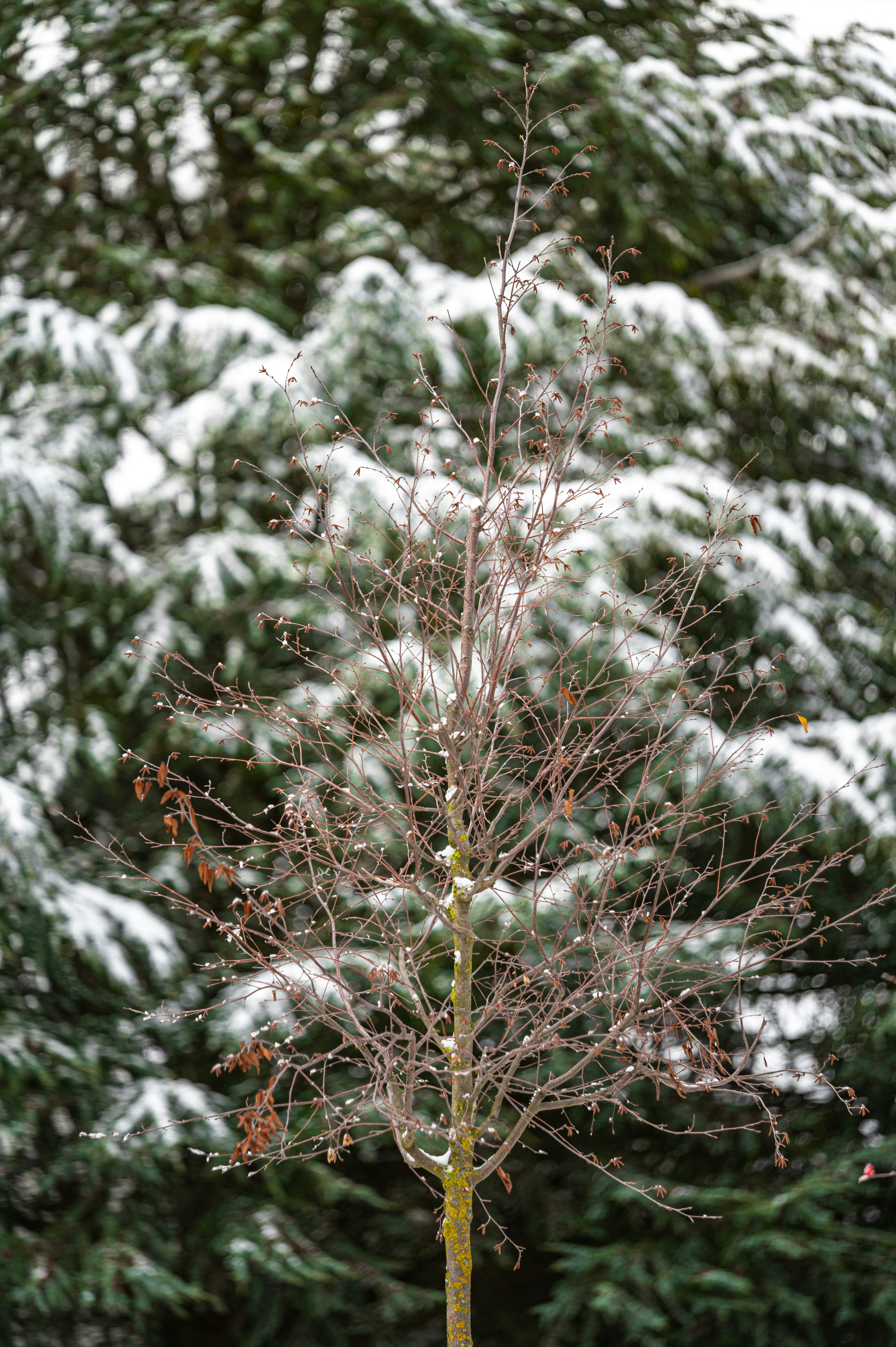 Photo by andreasbrun