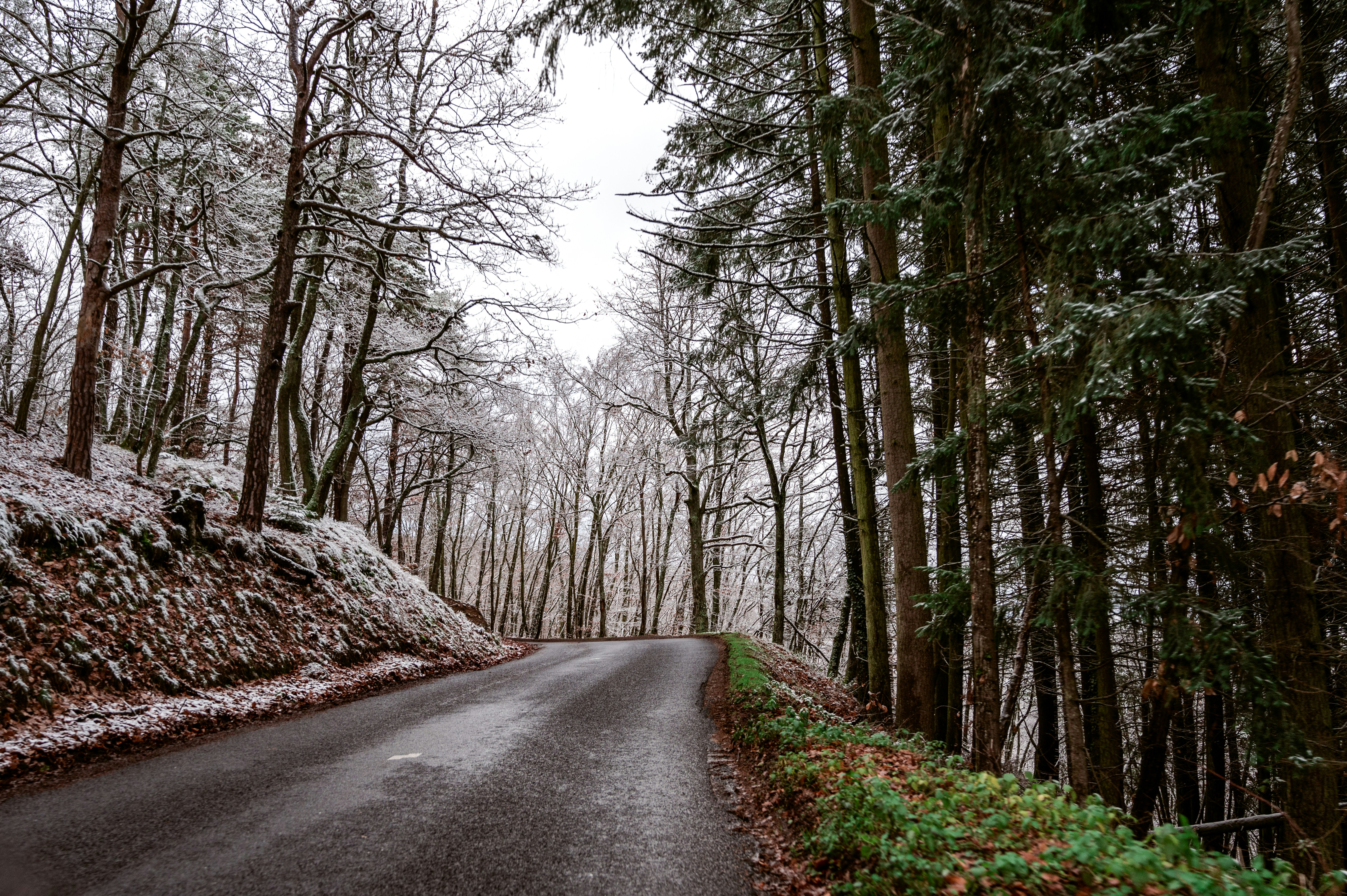 Photo by andreasbrun