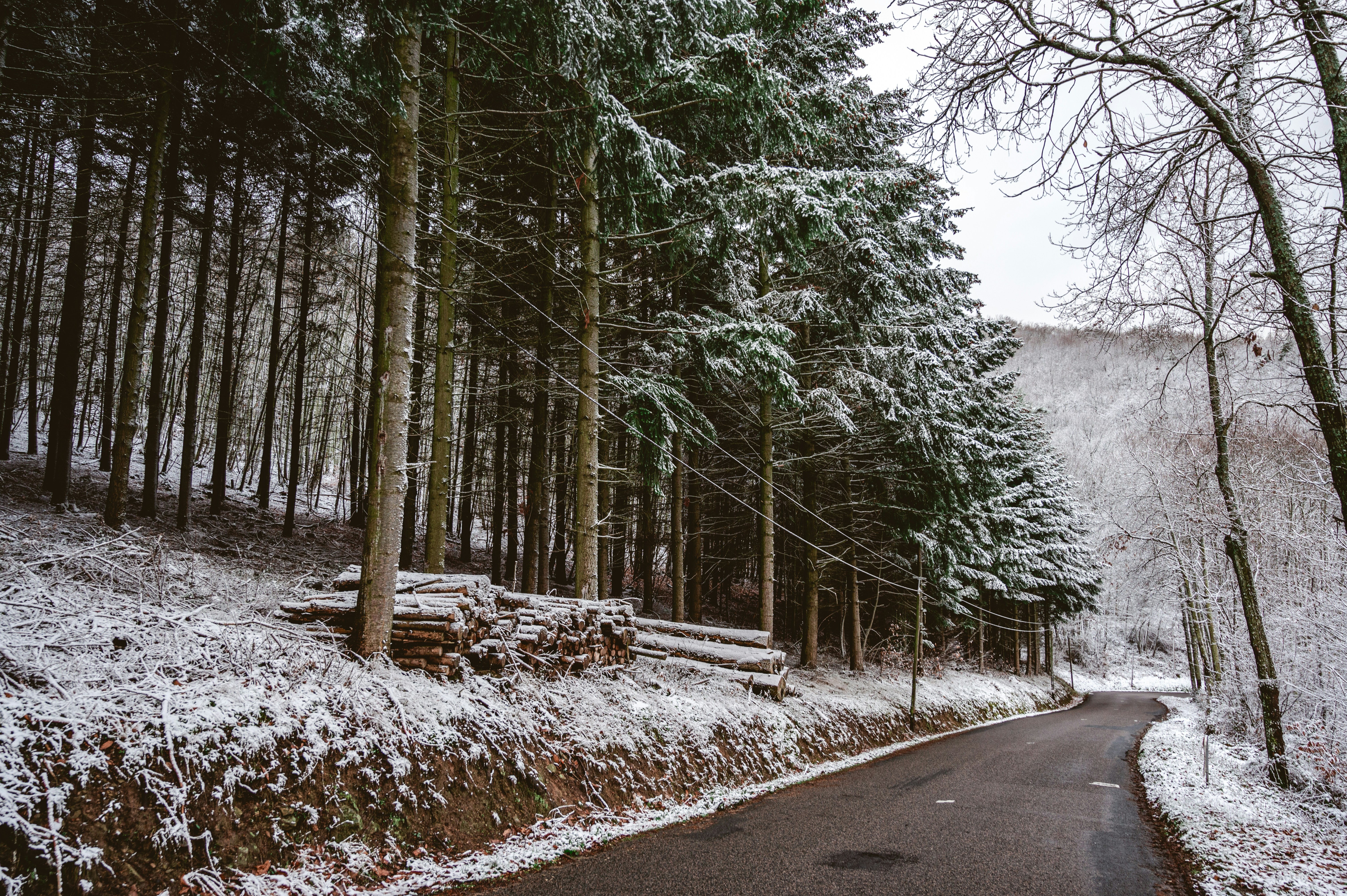 Photo by andreasbrun