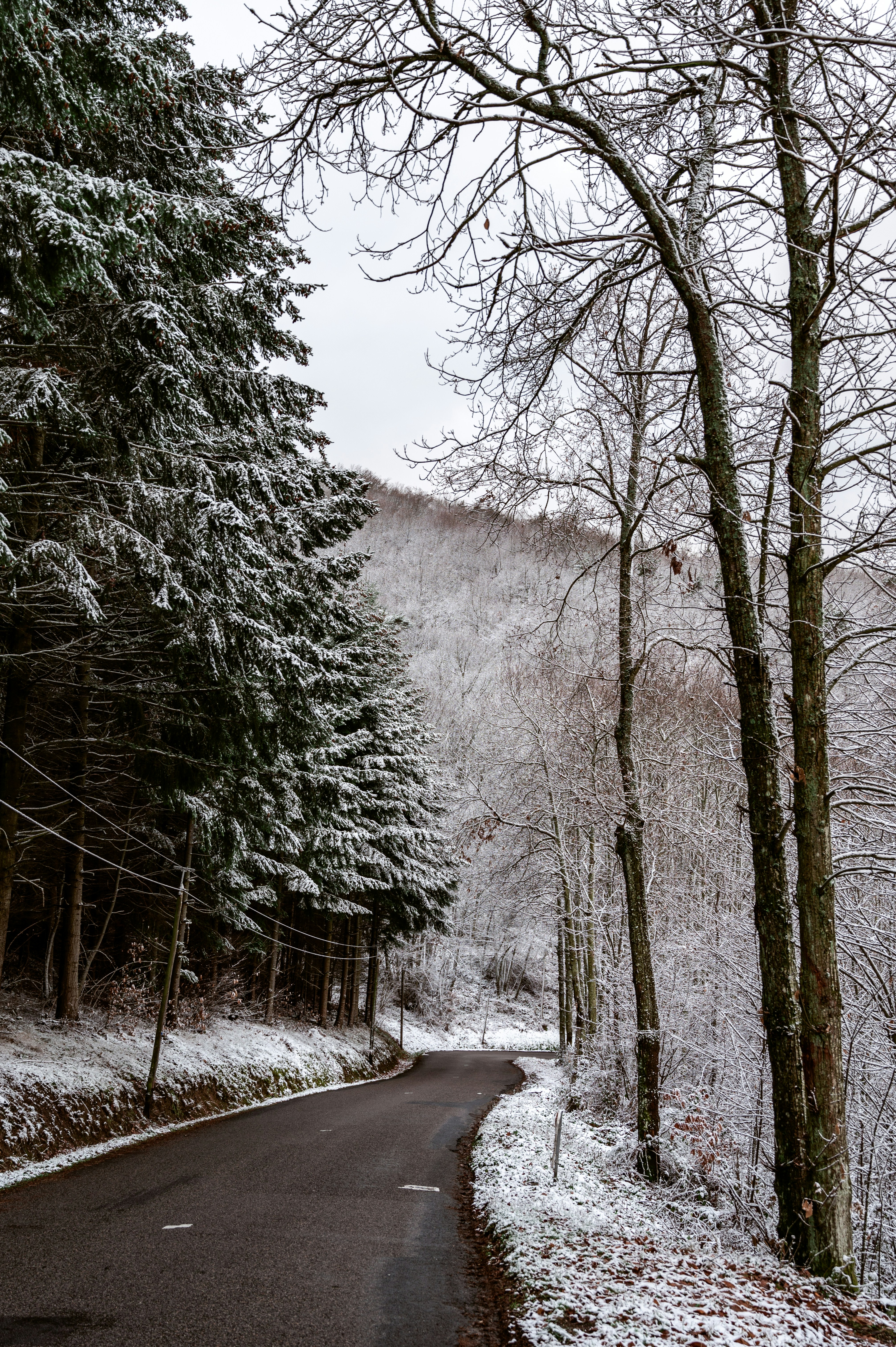 Photo by andreasbrun