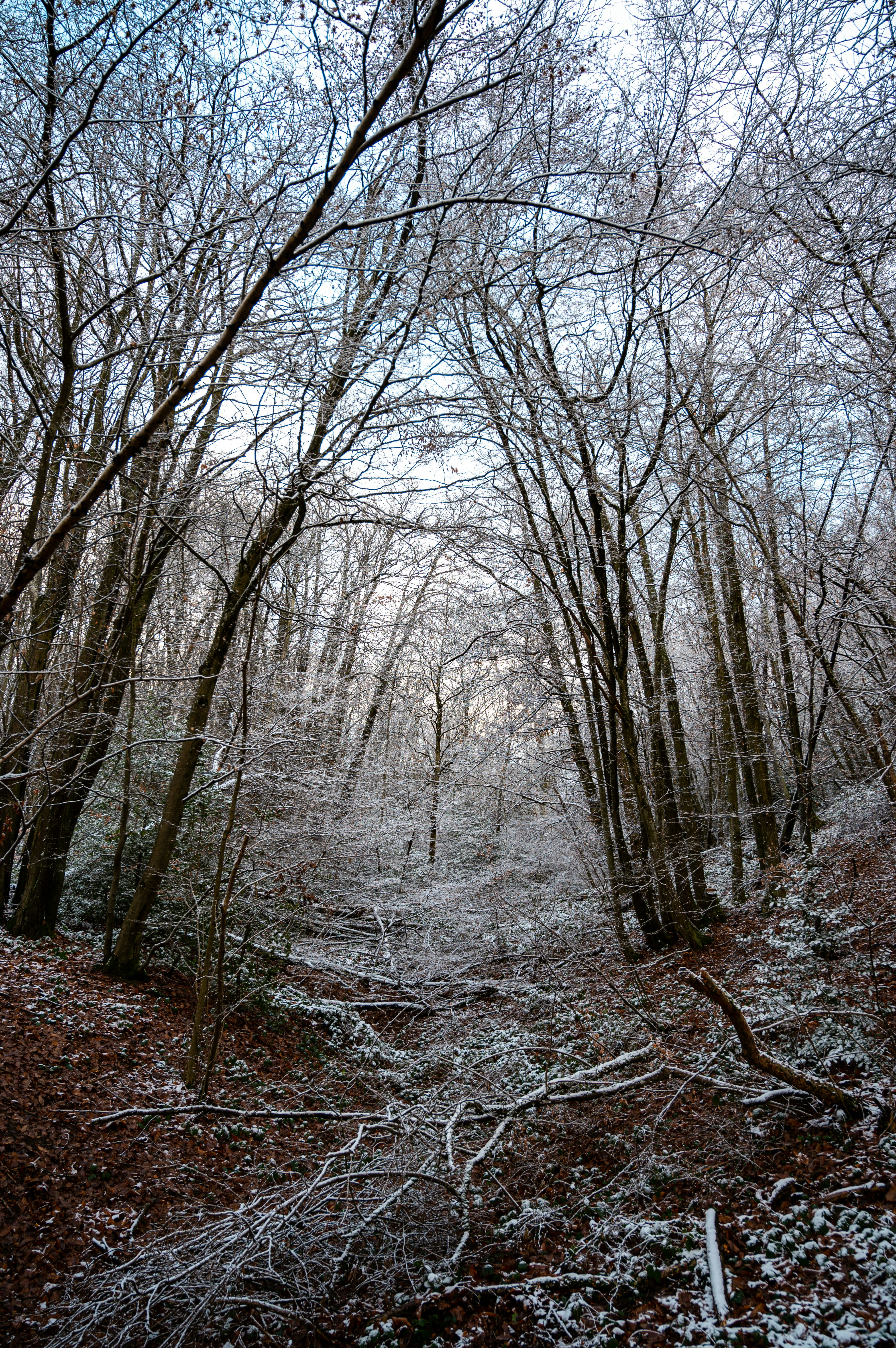 Photo by andreasbrun