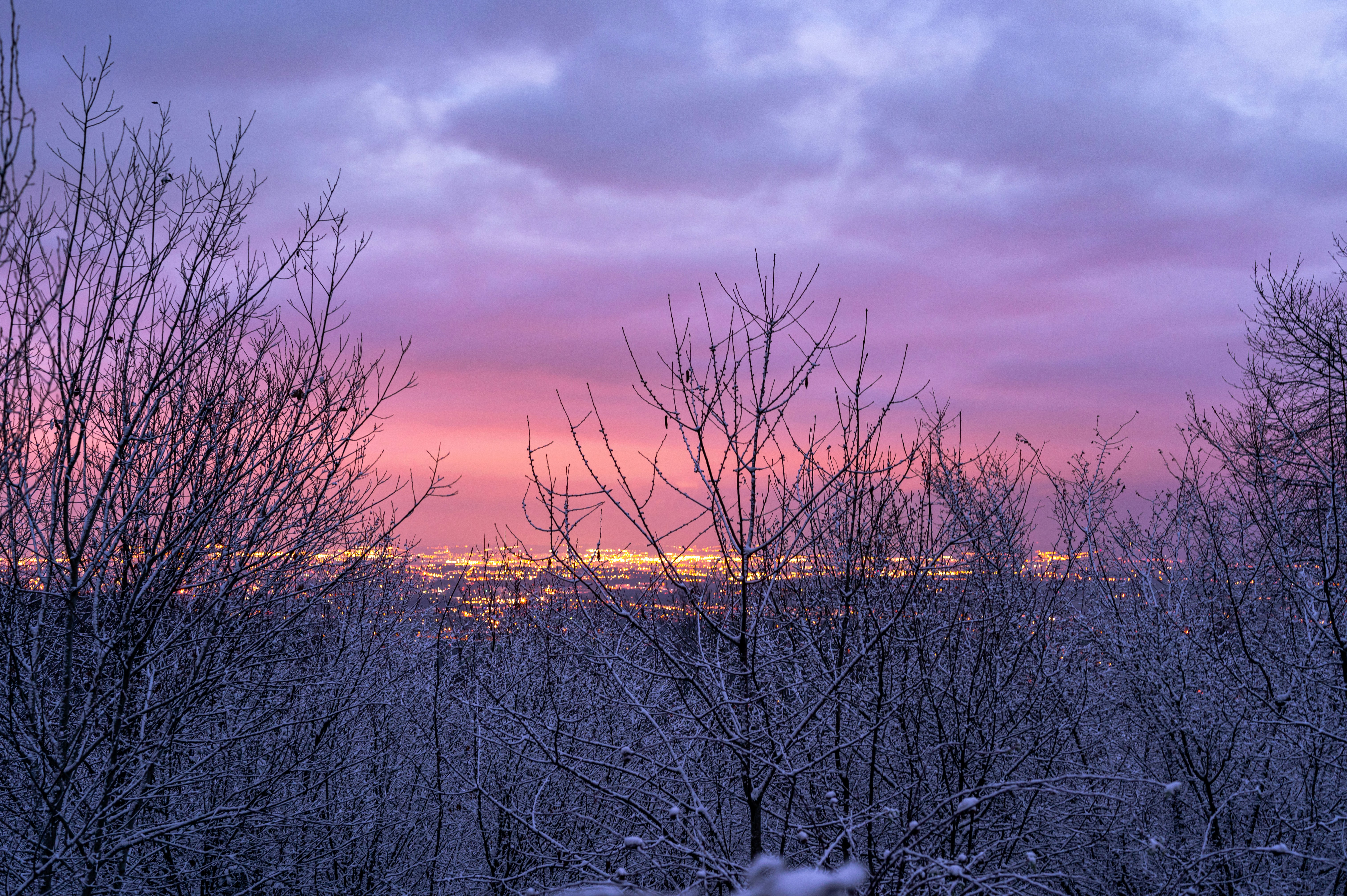 Photo by andreasbrun