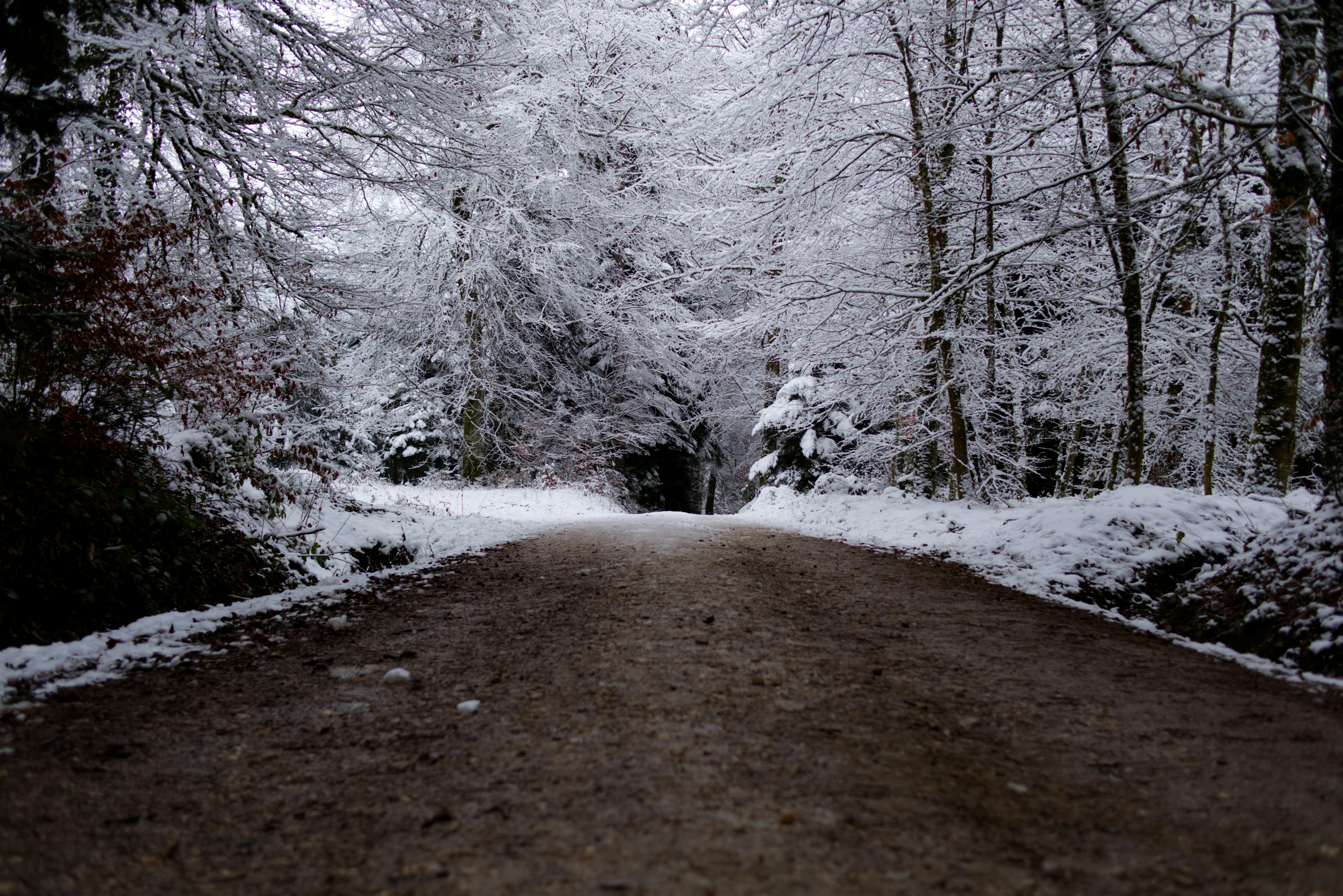 Photo by photasticlab