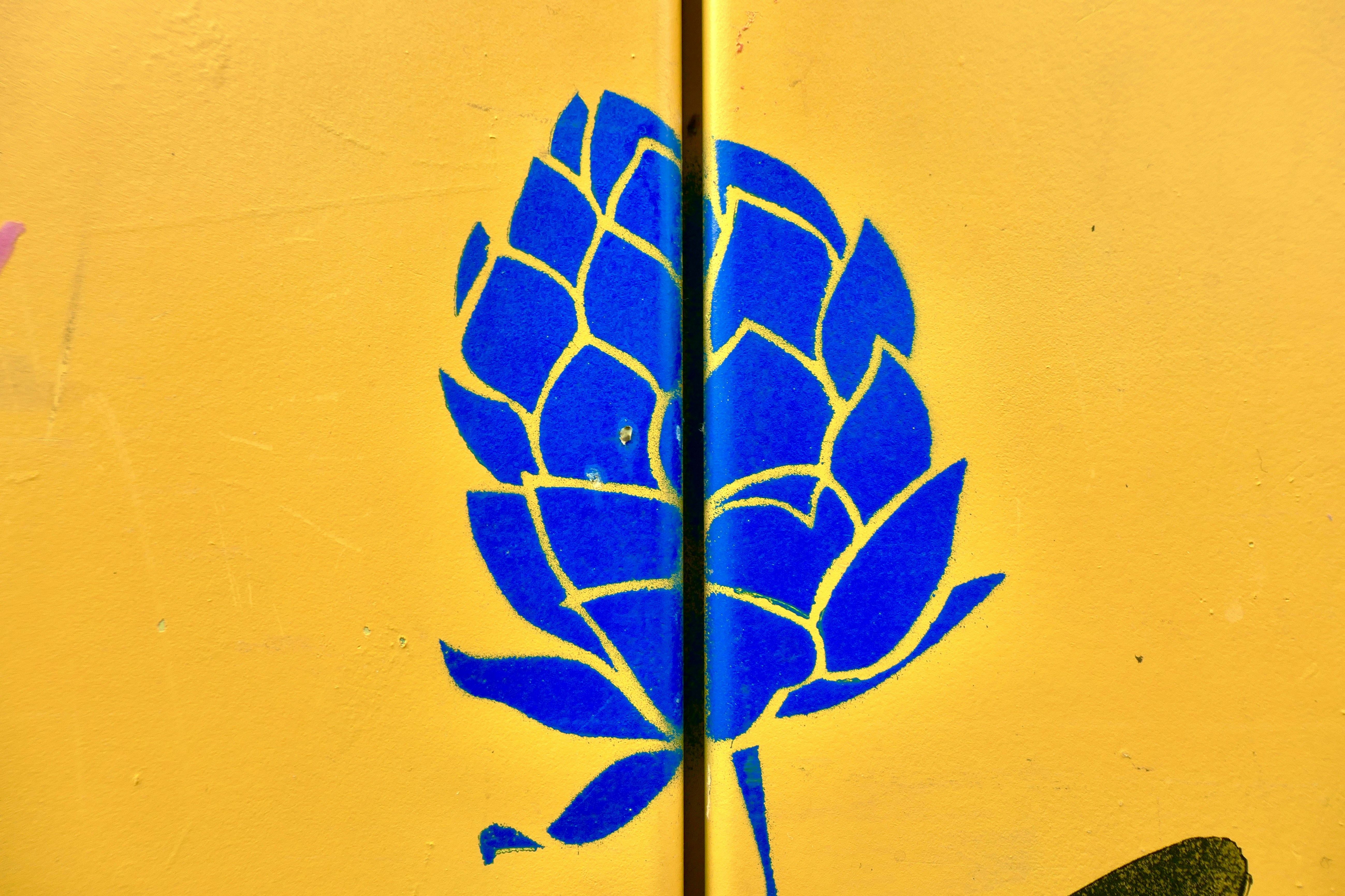 yellow leaf on yellow surface