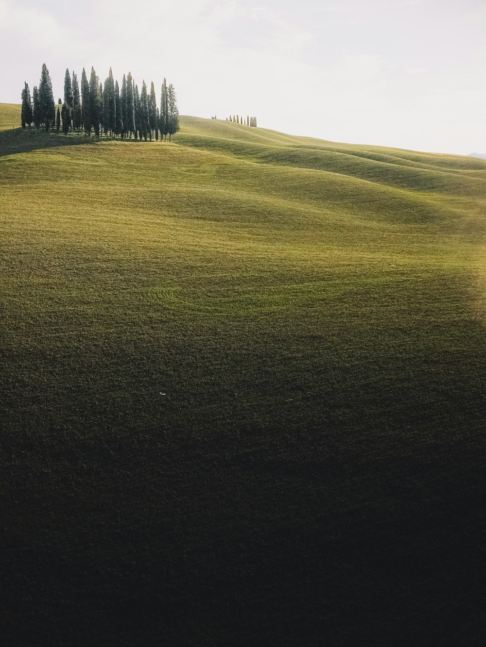 green grass field during daytime