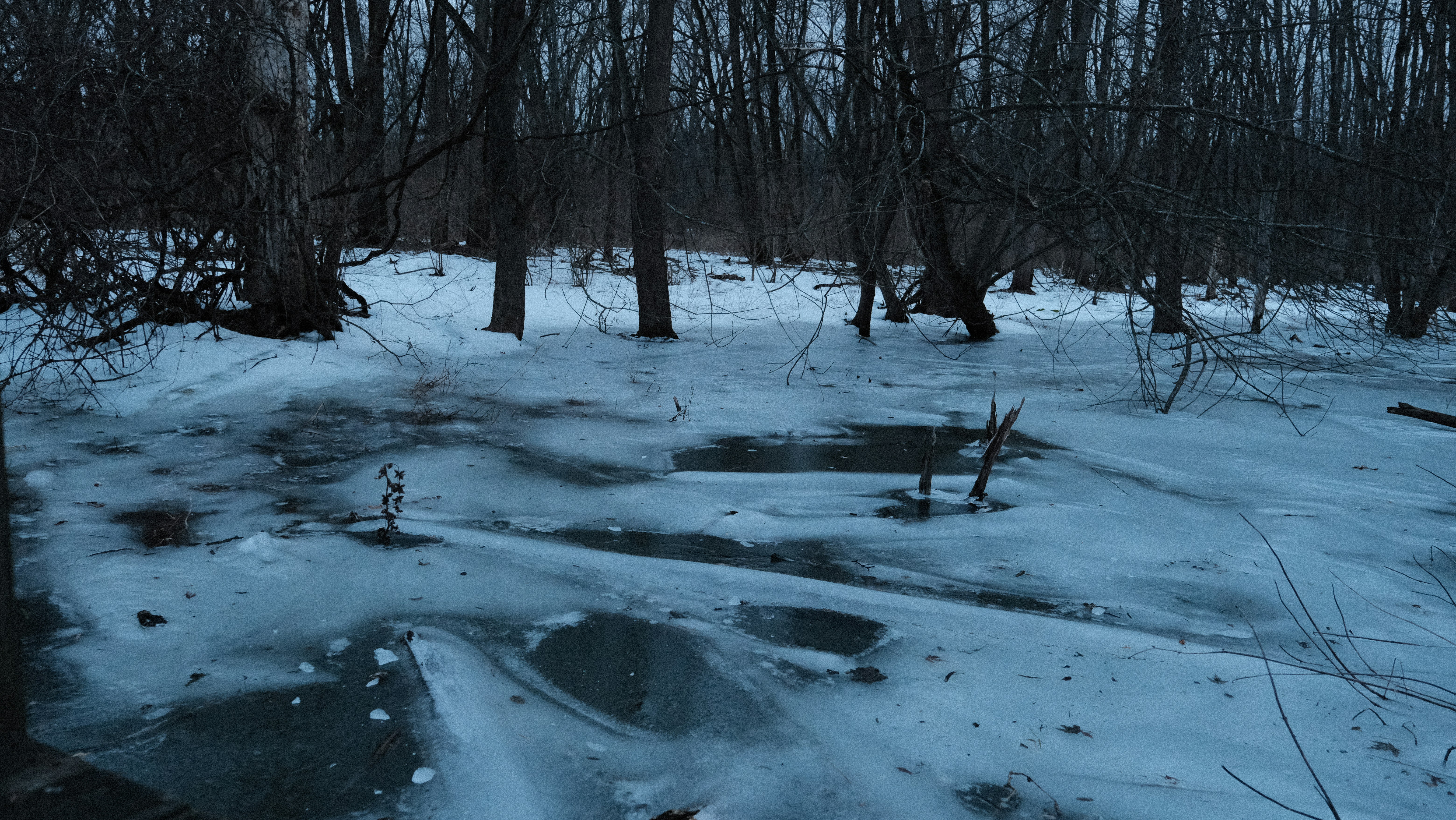 Schenectady, NY, United States cover image