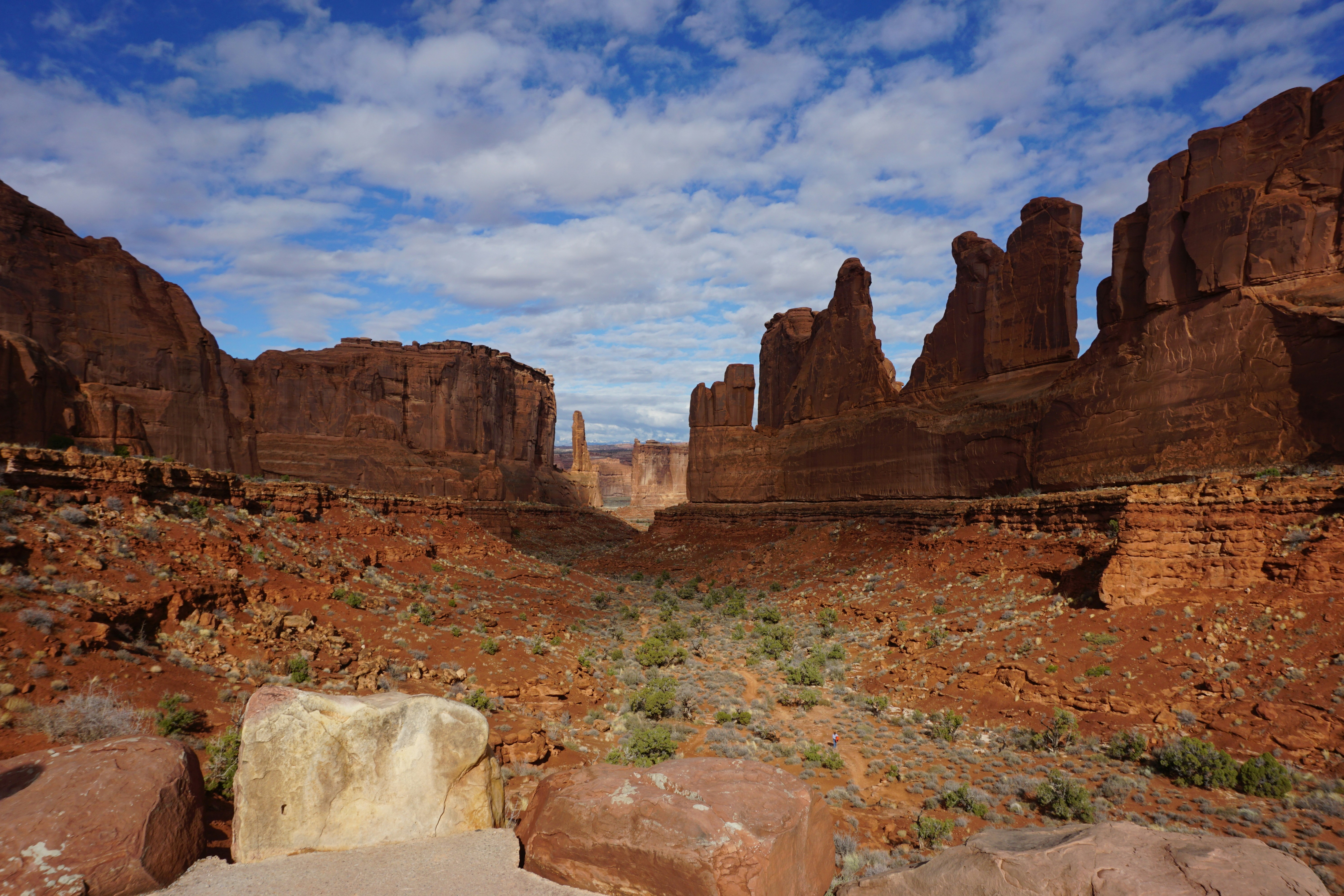 Photo by elainebaran