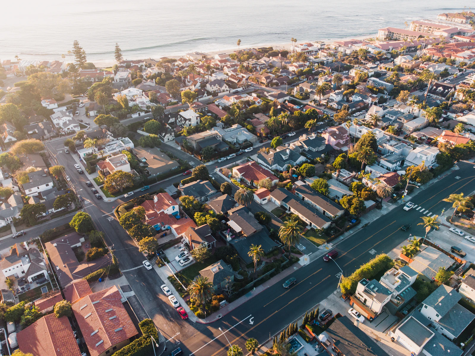 Aerial view of a tree-lined residential neighborhood at golden hour